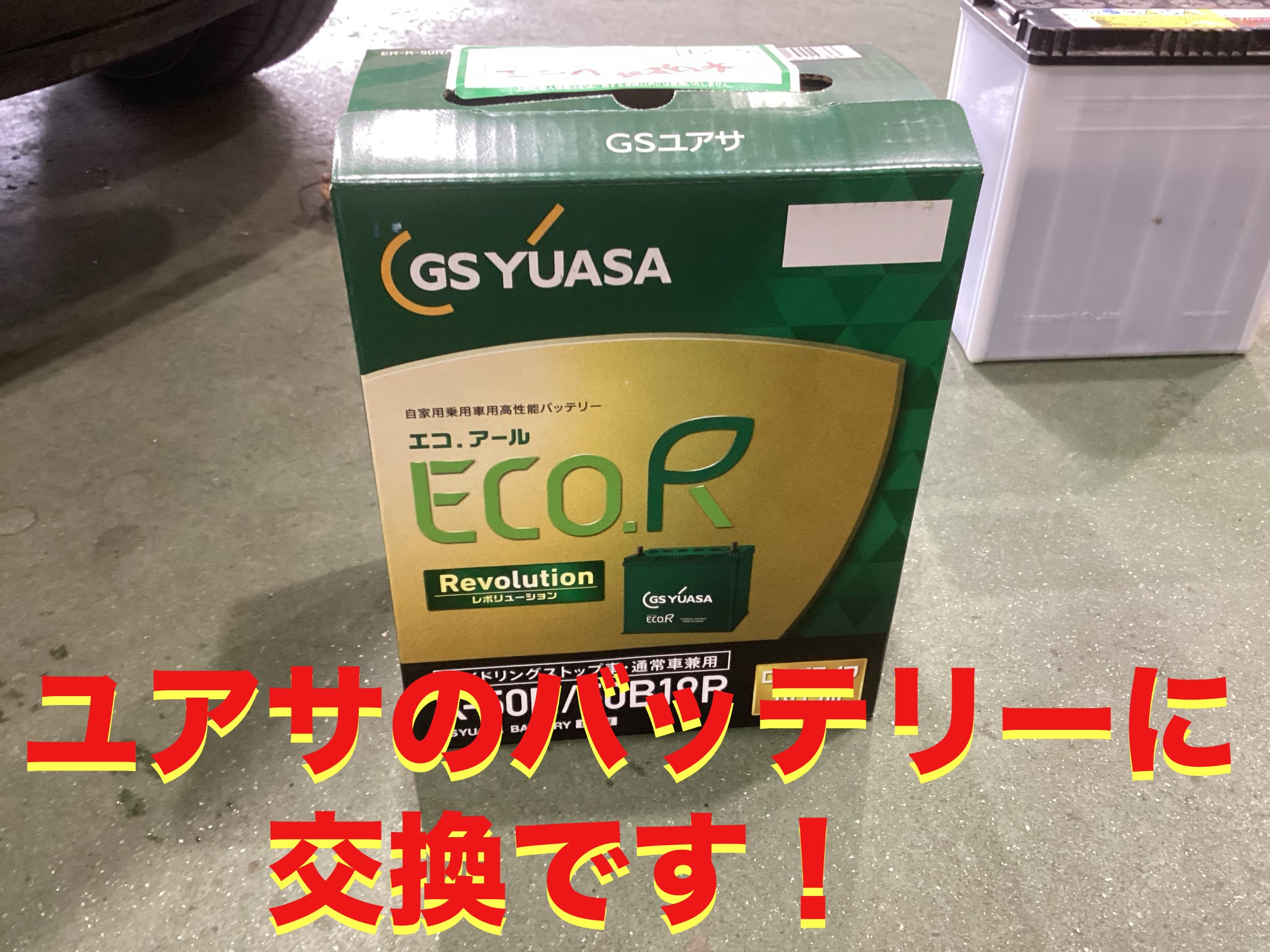 自店撮影です