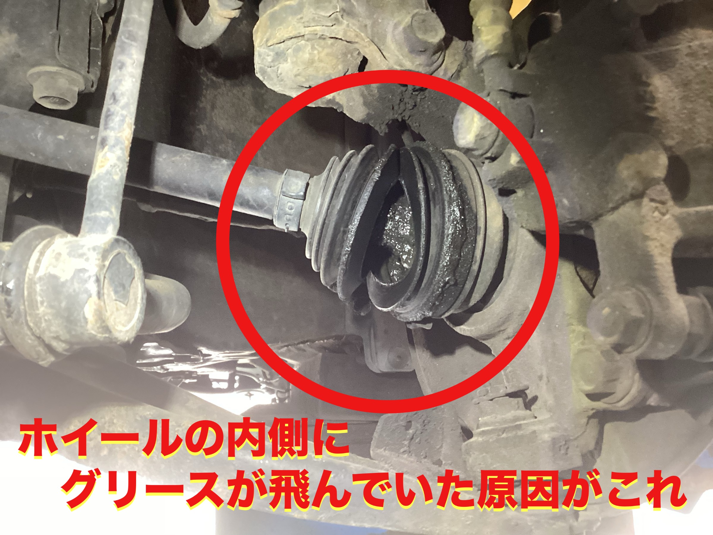 自店撮影です