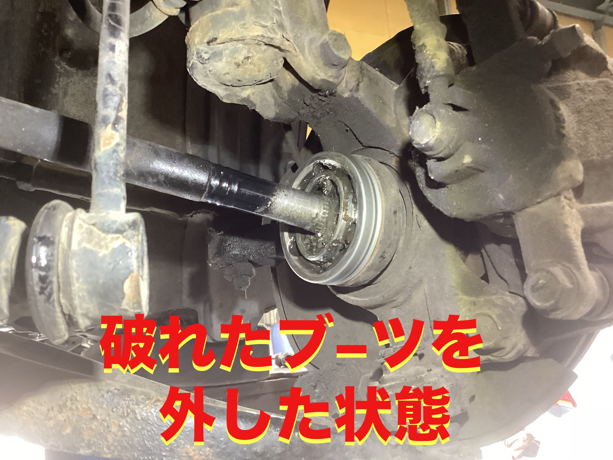 自店撮影です