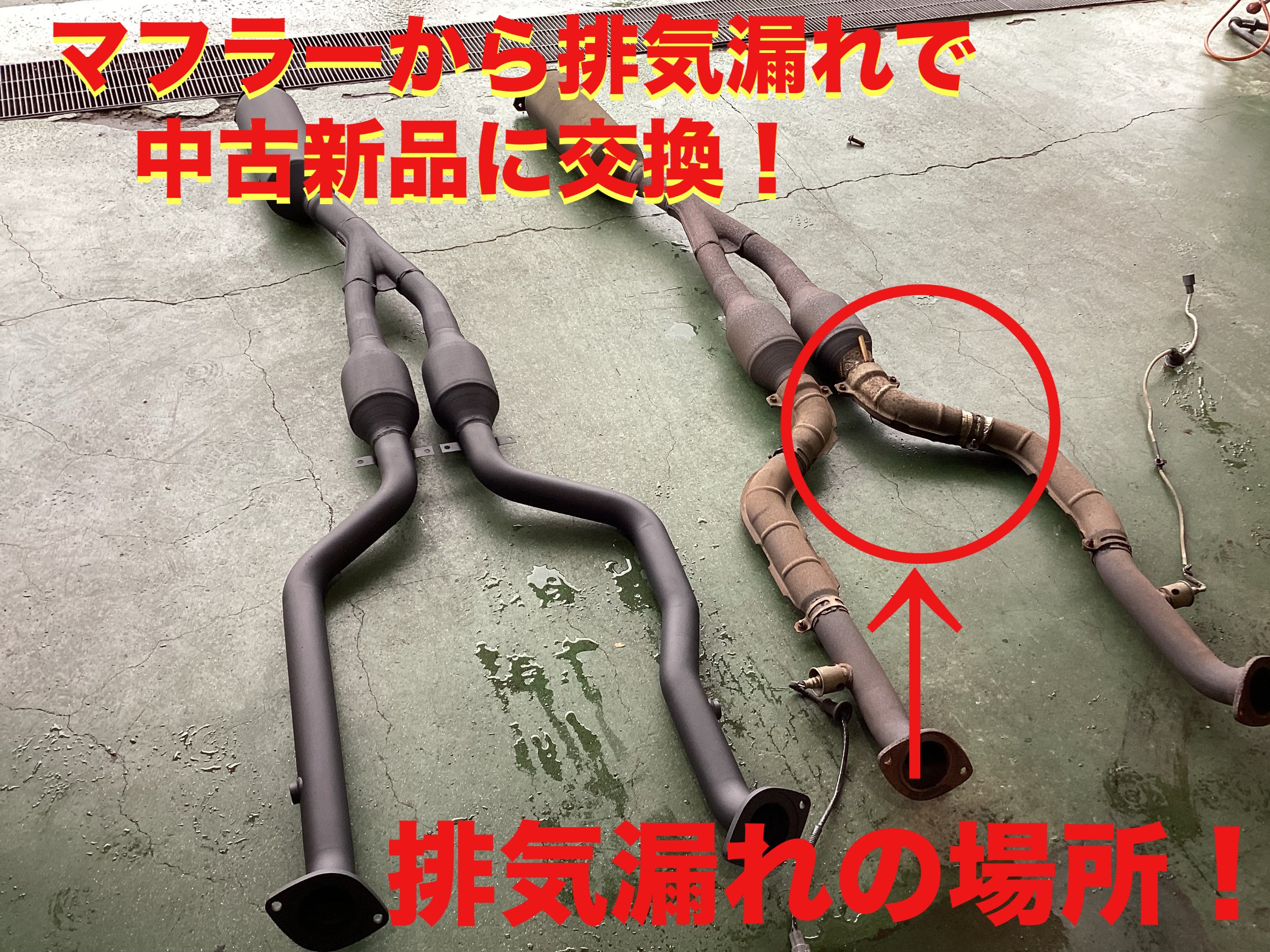 自店撮影です