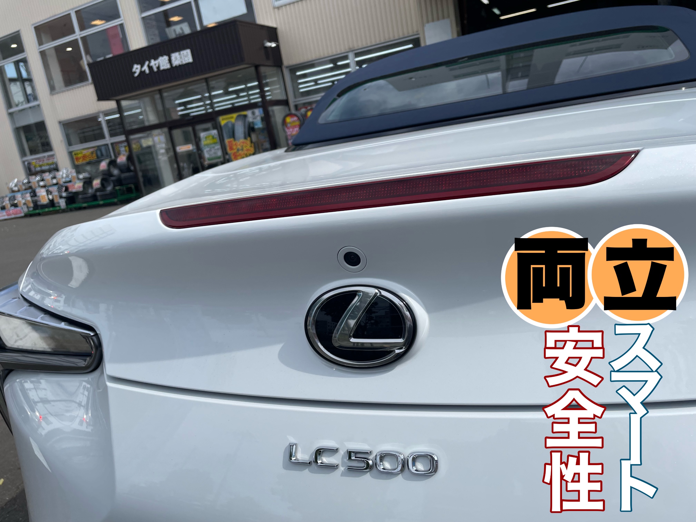 スタッフ撮影写真