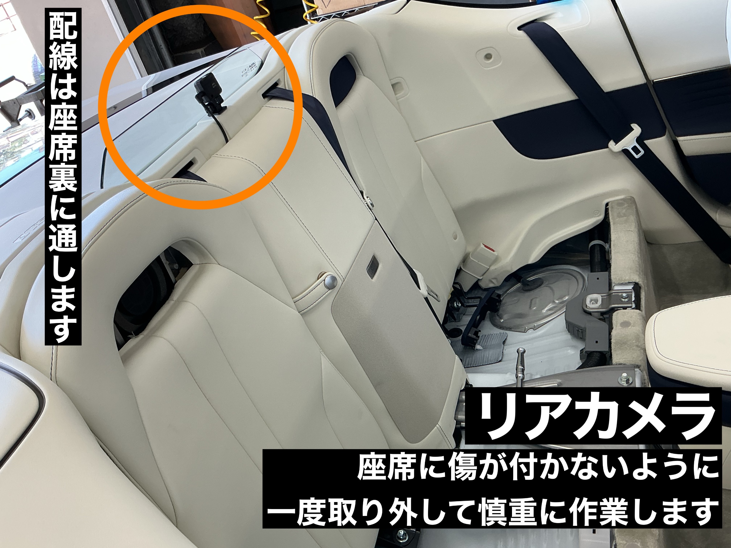 スタッフ撮影写真