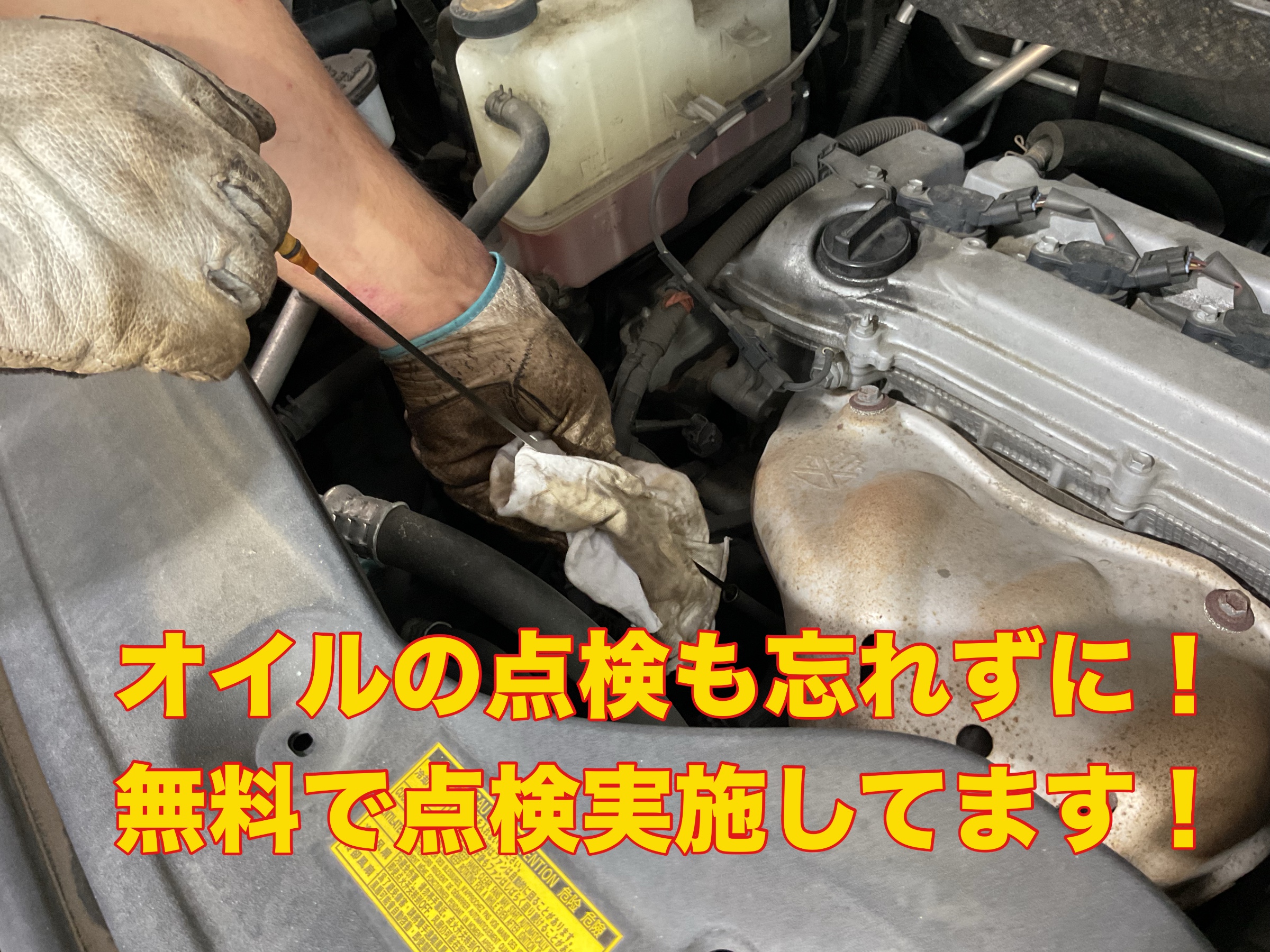 スタッフ撮影。無料画像編集アプリにて編集。