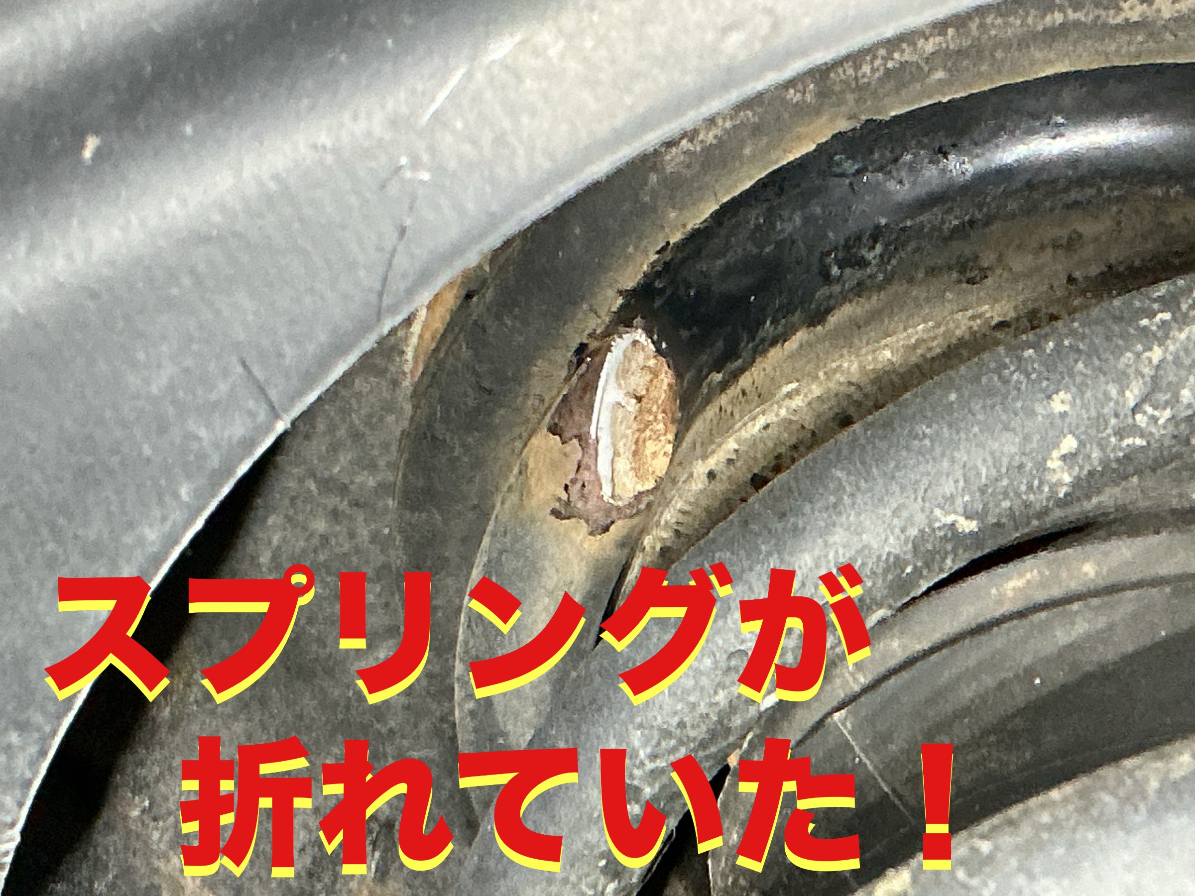自店撮影です