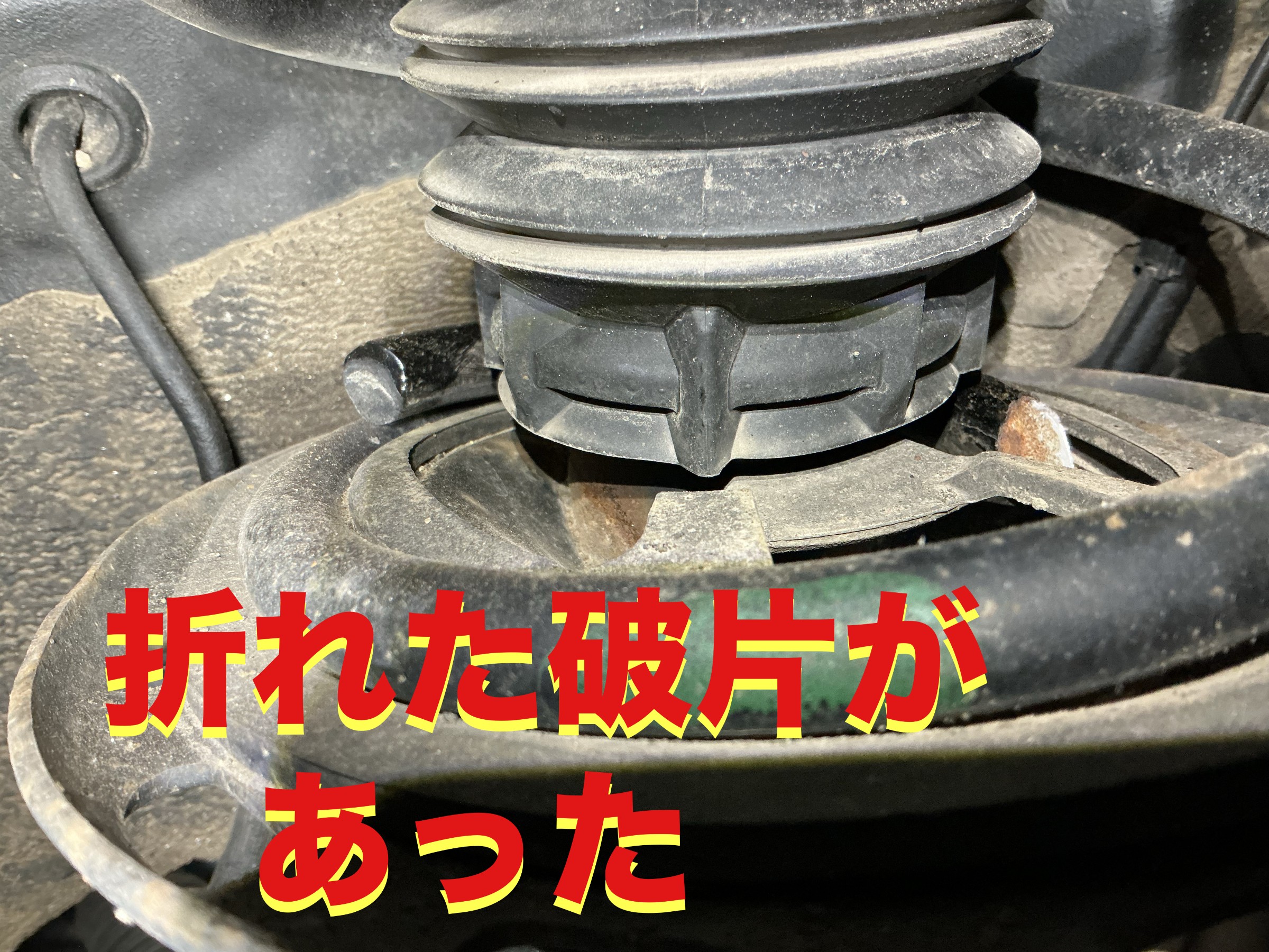 自店撮影です