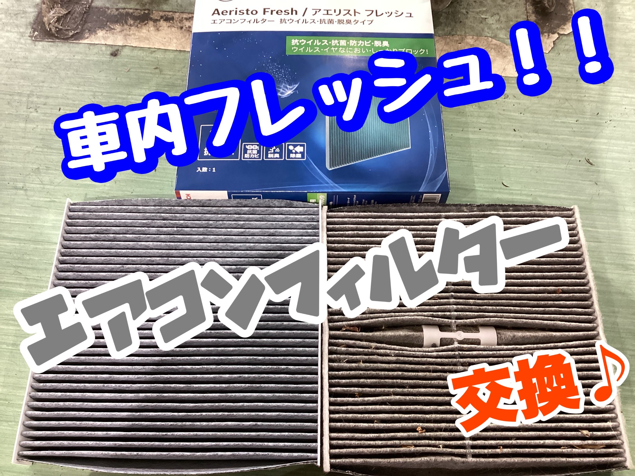 スタッフ撮影