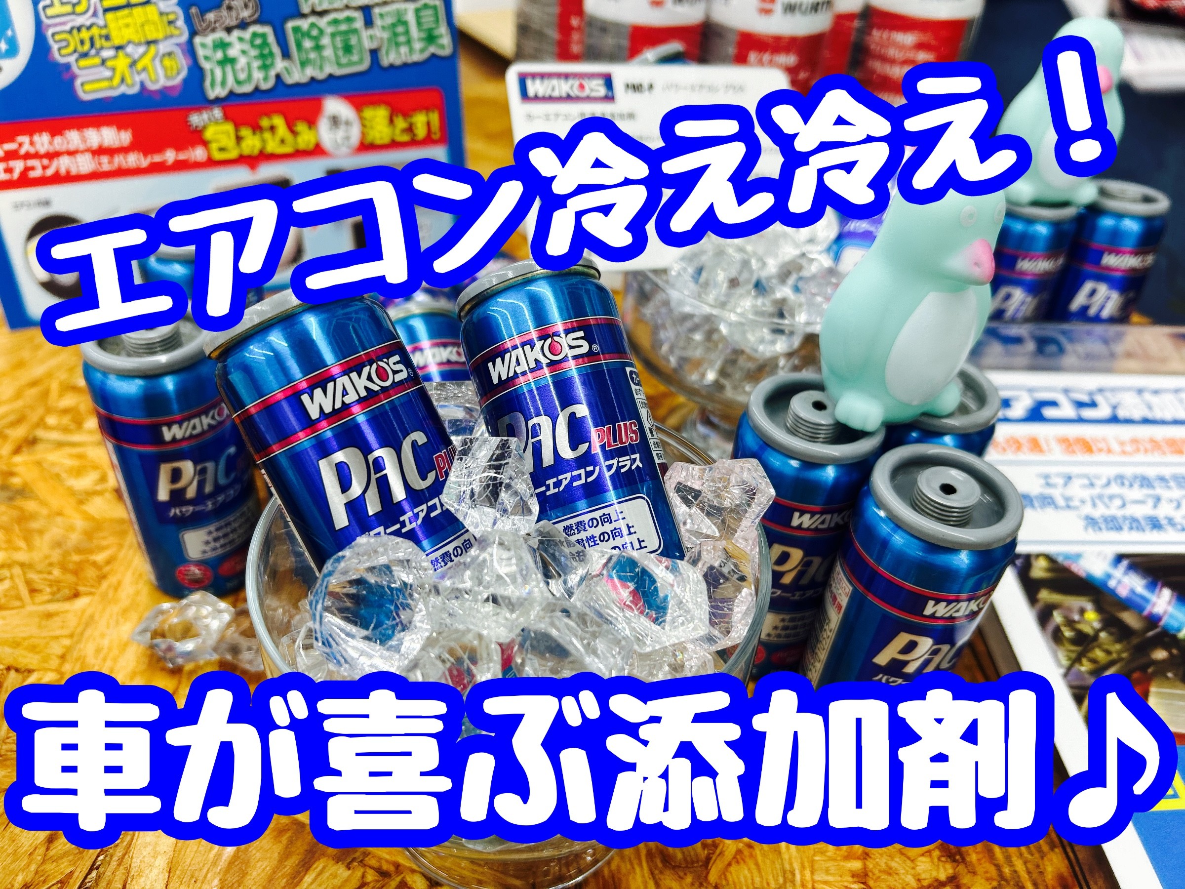 スタッフ撮影