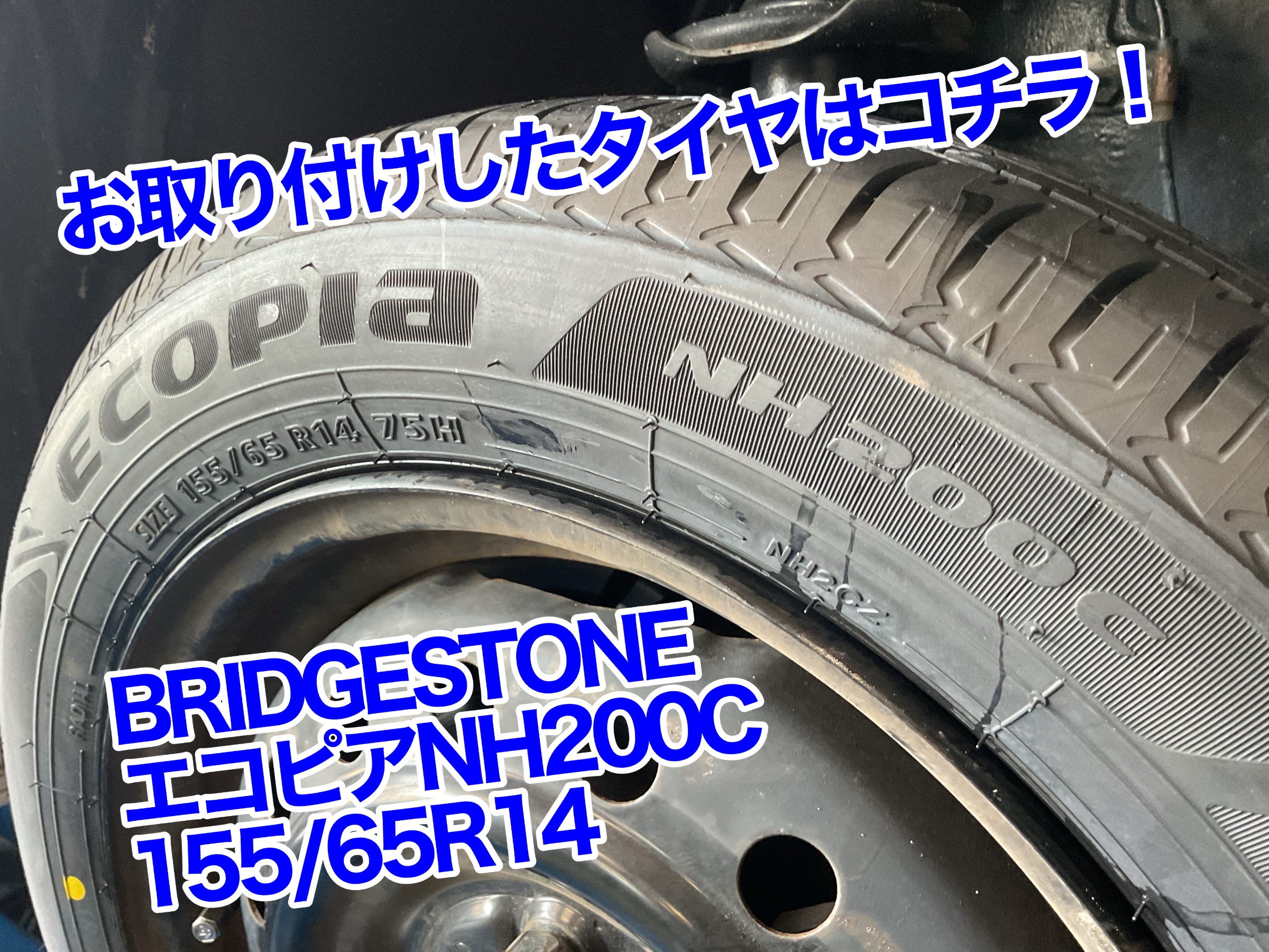 トコットにエコピア