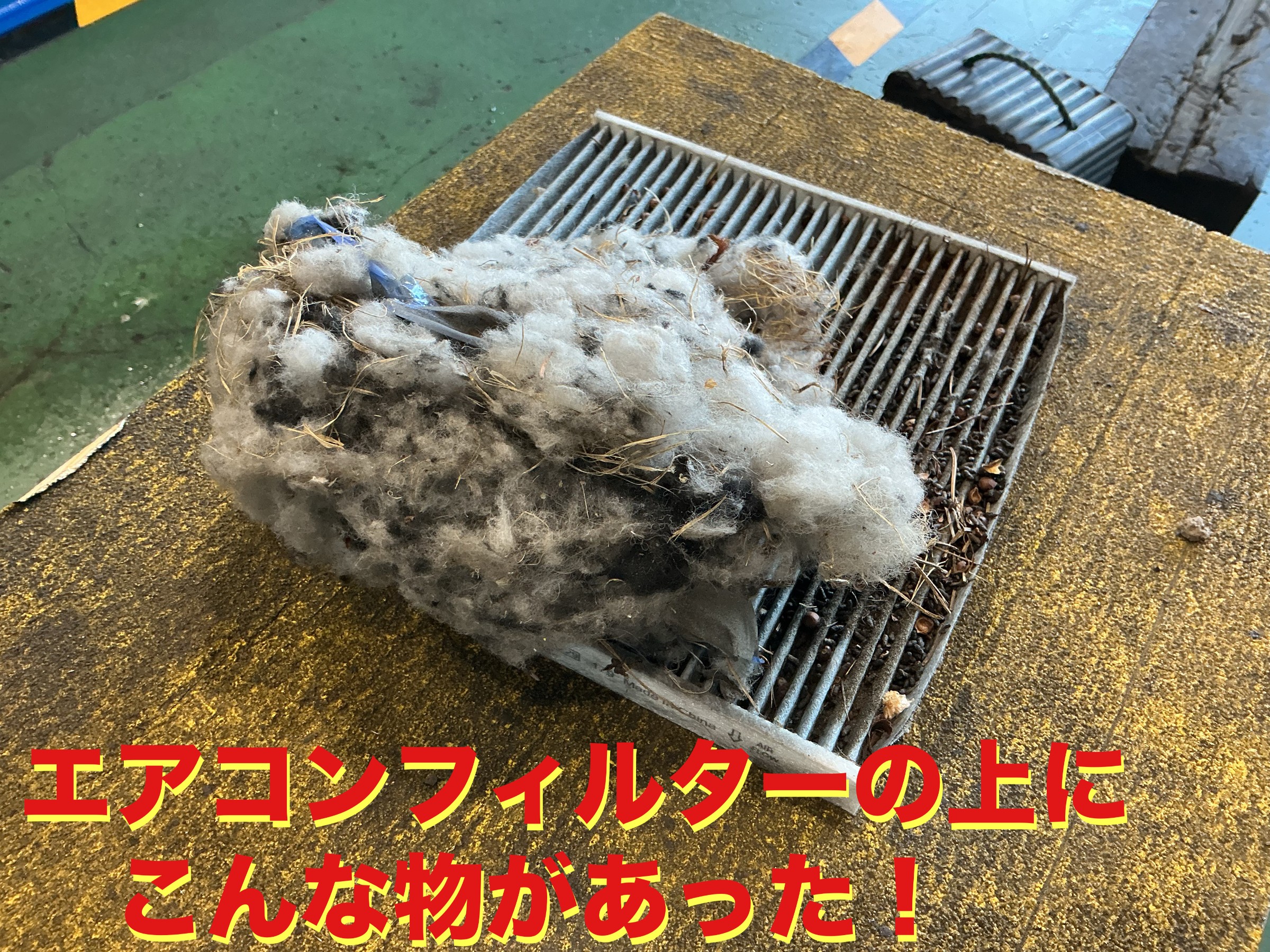 自店撮影です