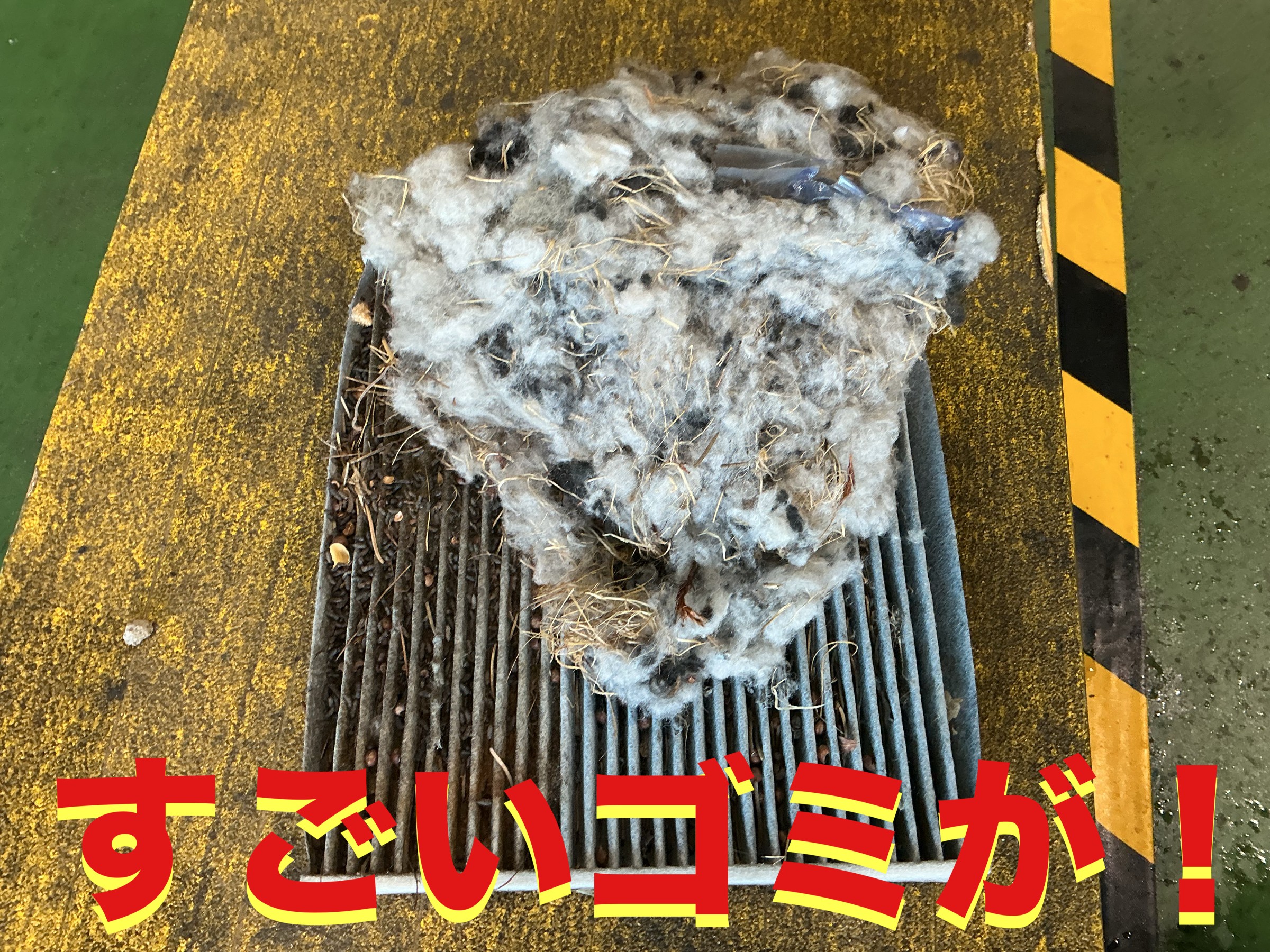 自店撮影です