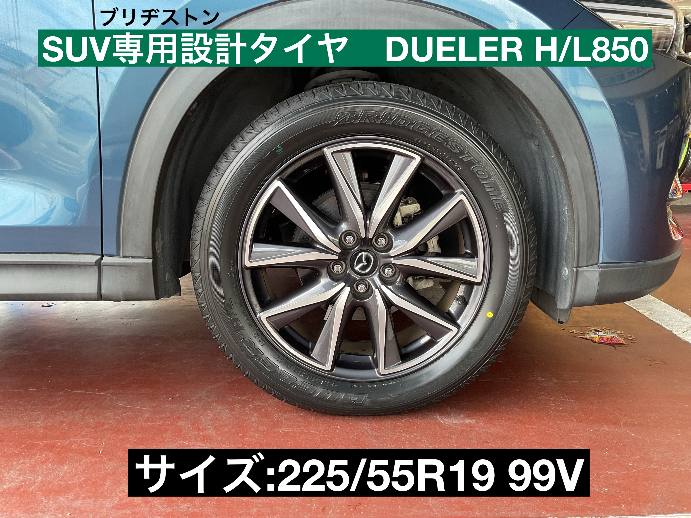 スタッフが撮影