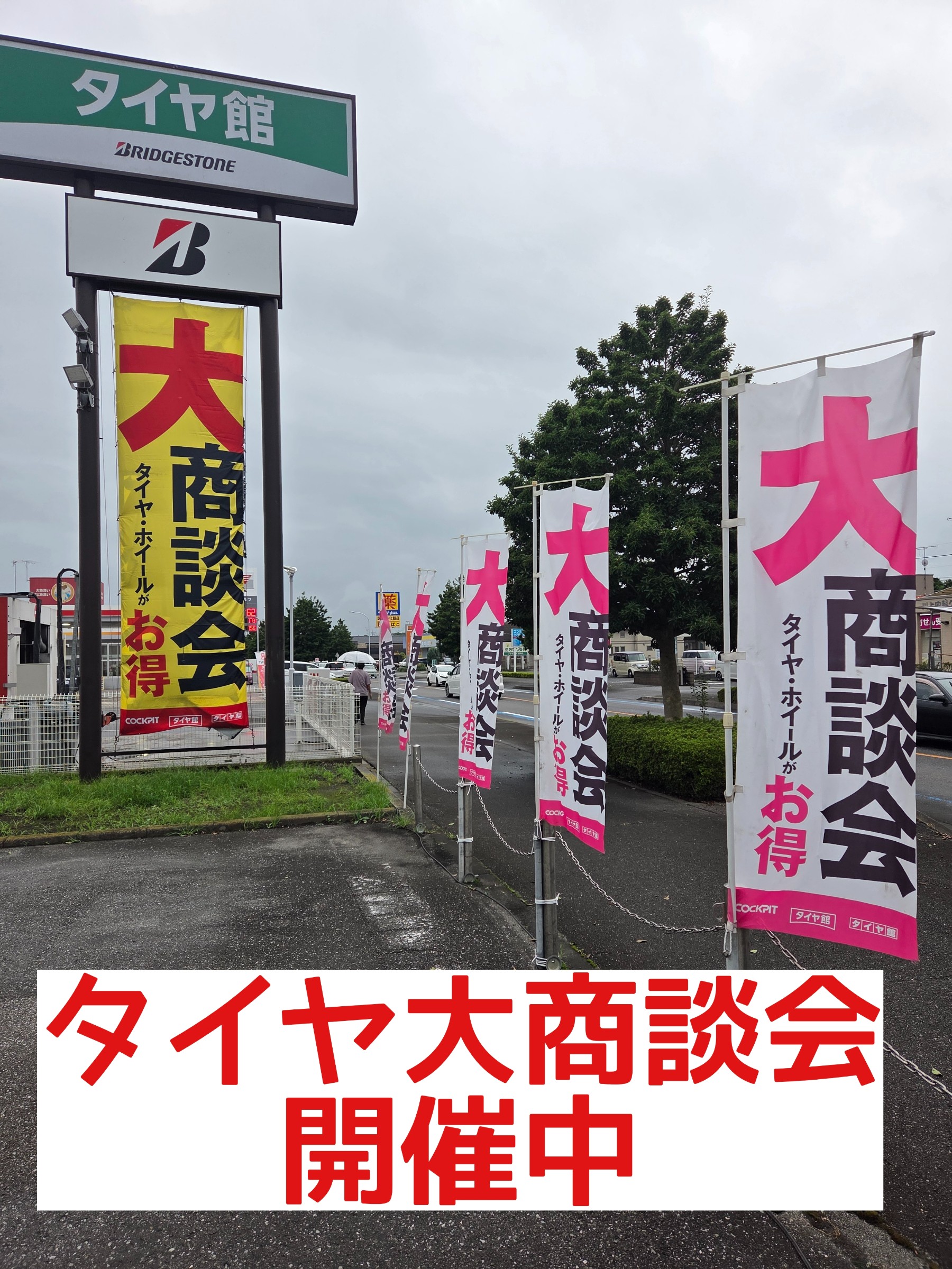 スタッフが撮影しました