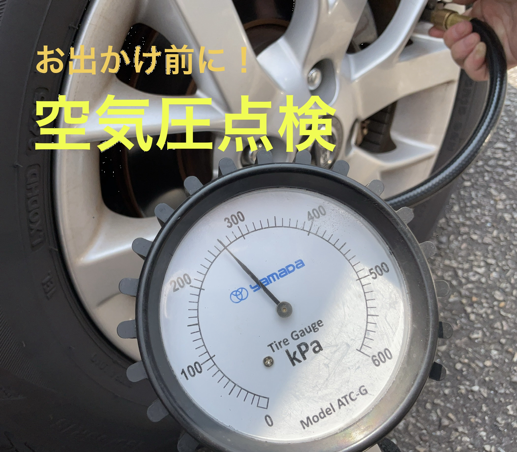 写真はスタッフ撮影です。