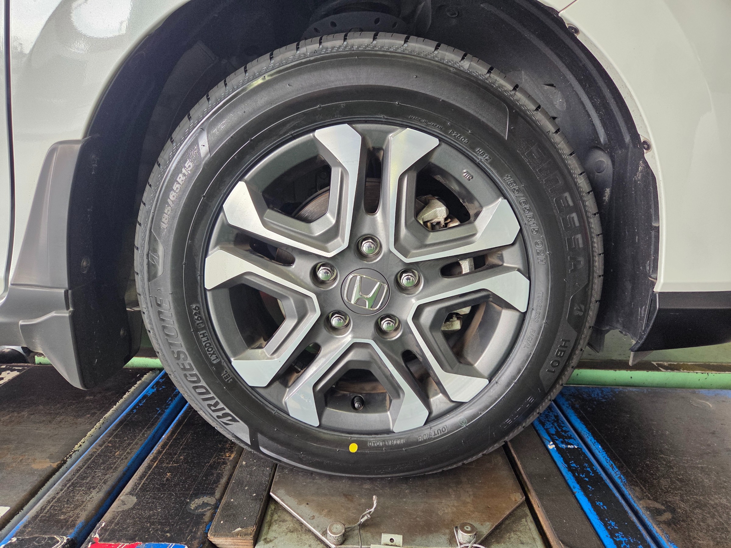 スタッフが撮影しました