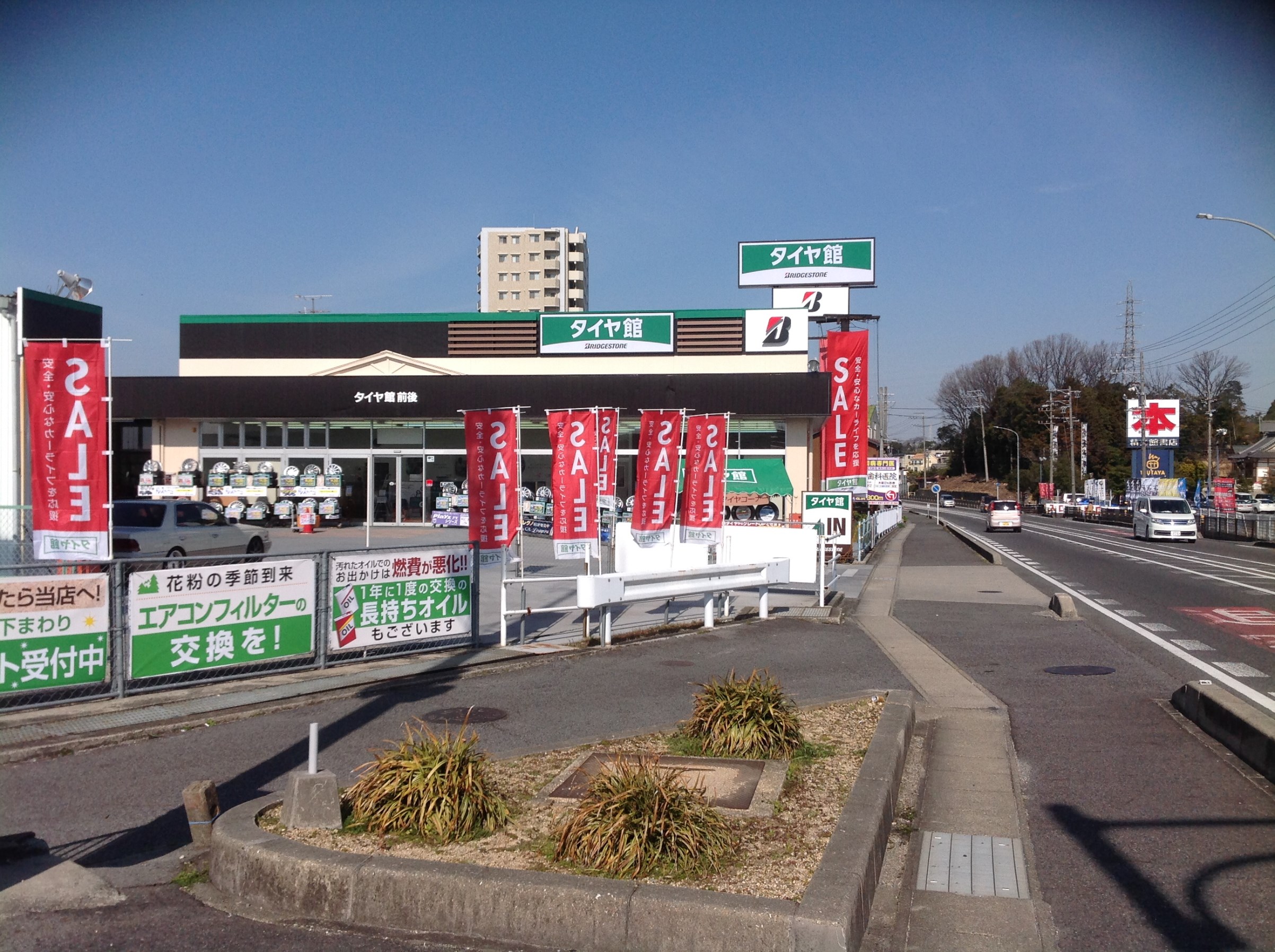 スタッフが撮影した画像です