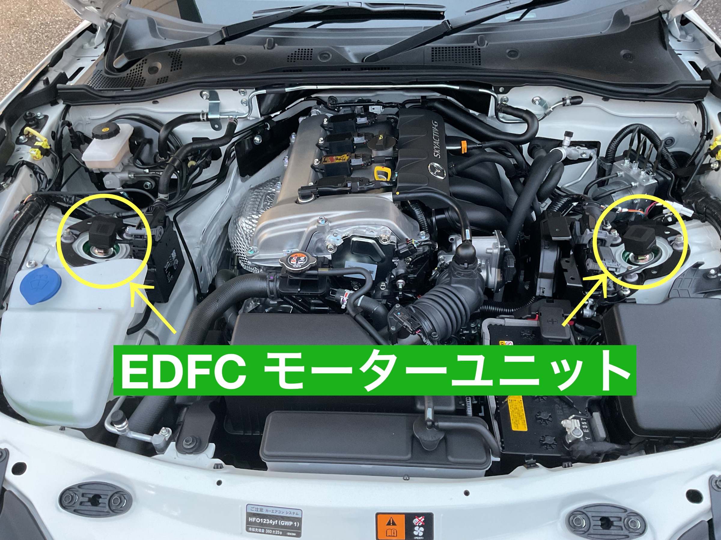 スタッフが撮影
