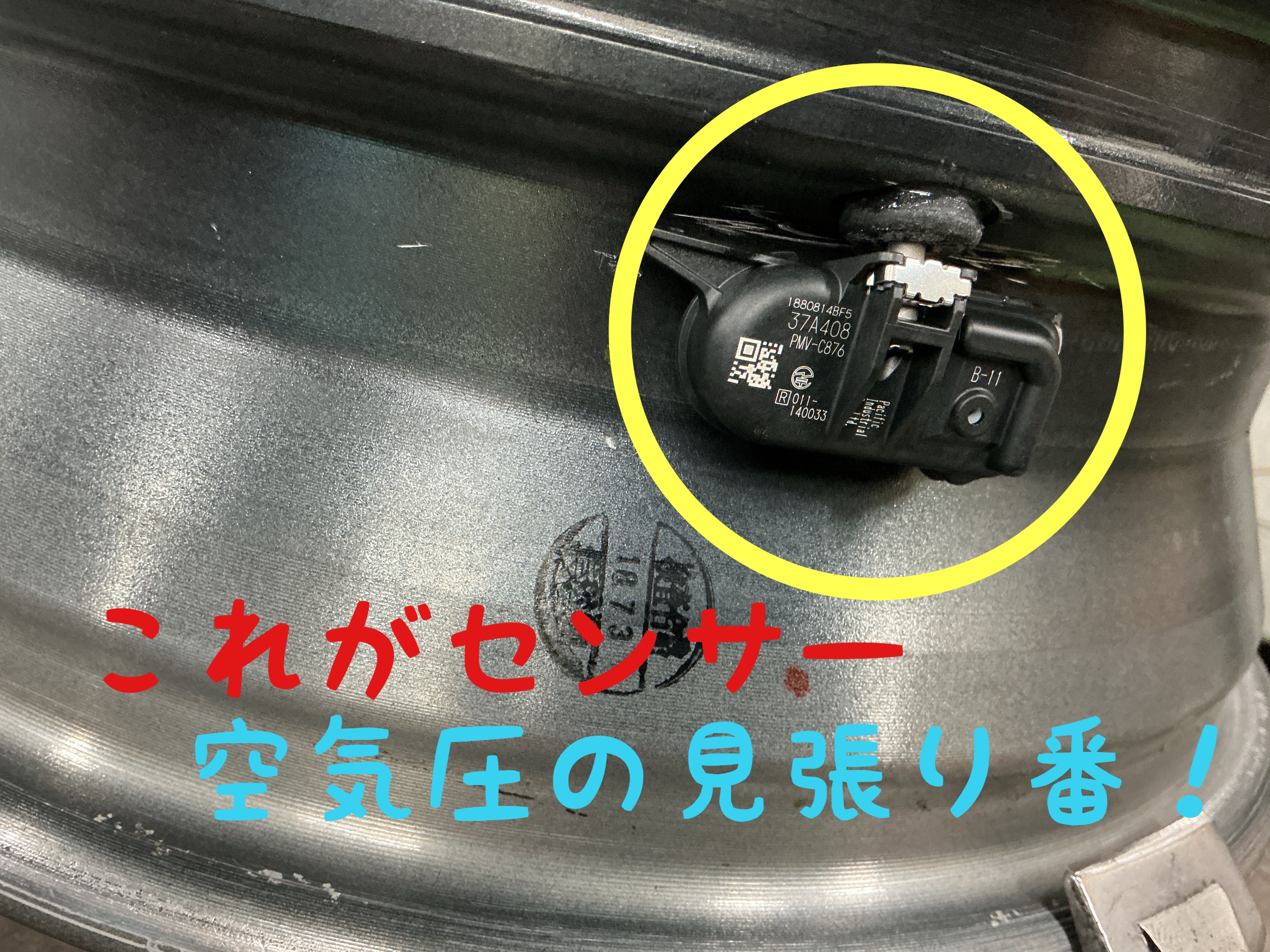 スタッフ撮影