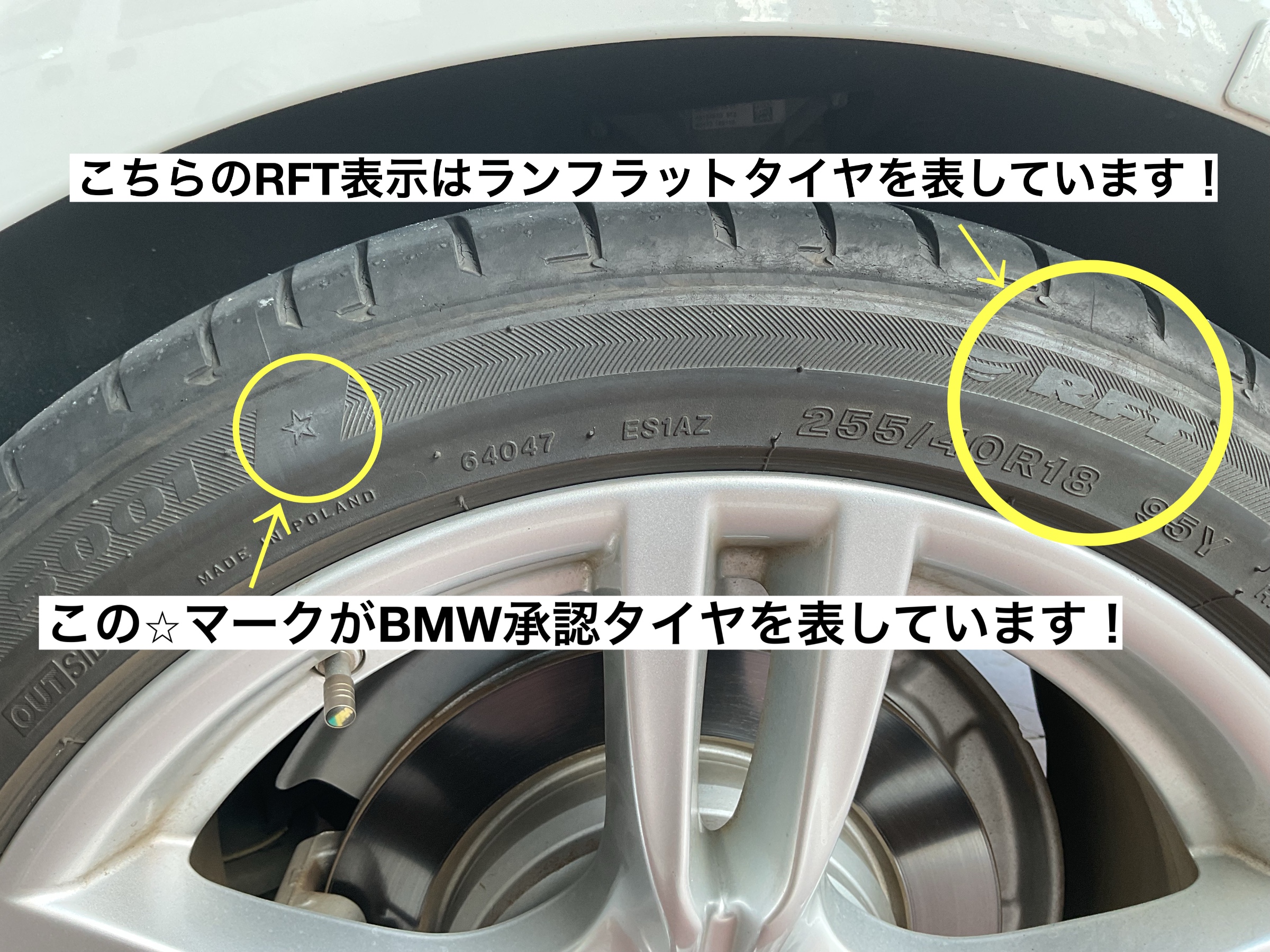 スタッフが撮影