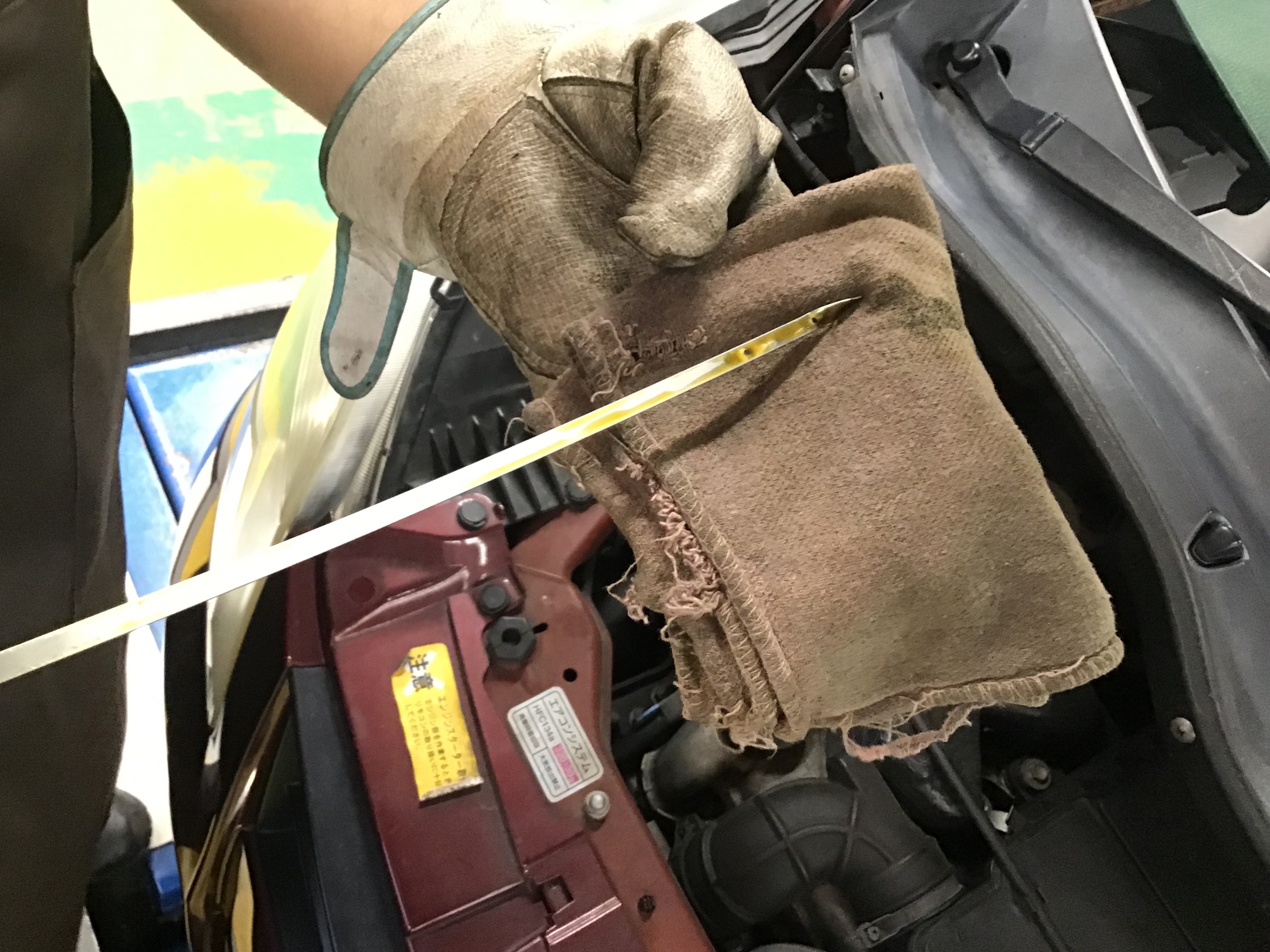 スタッフ撮影です。