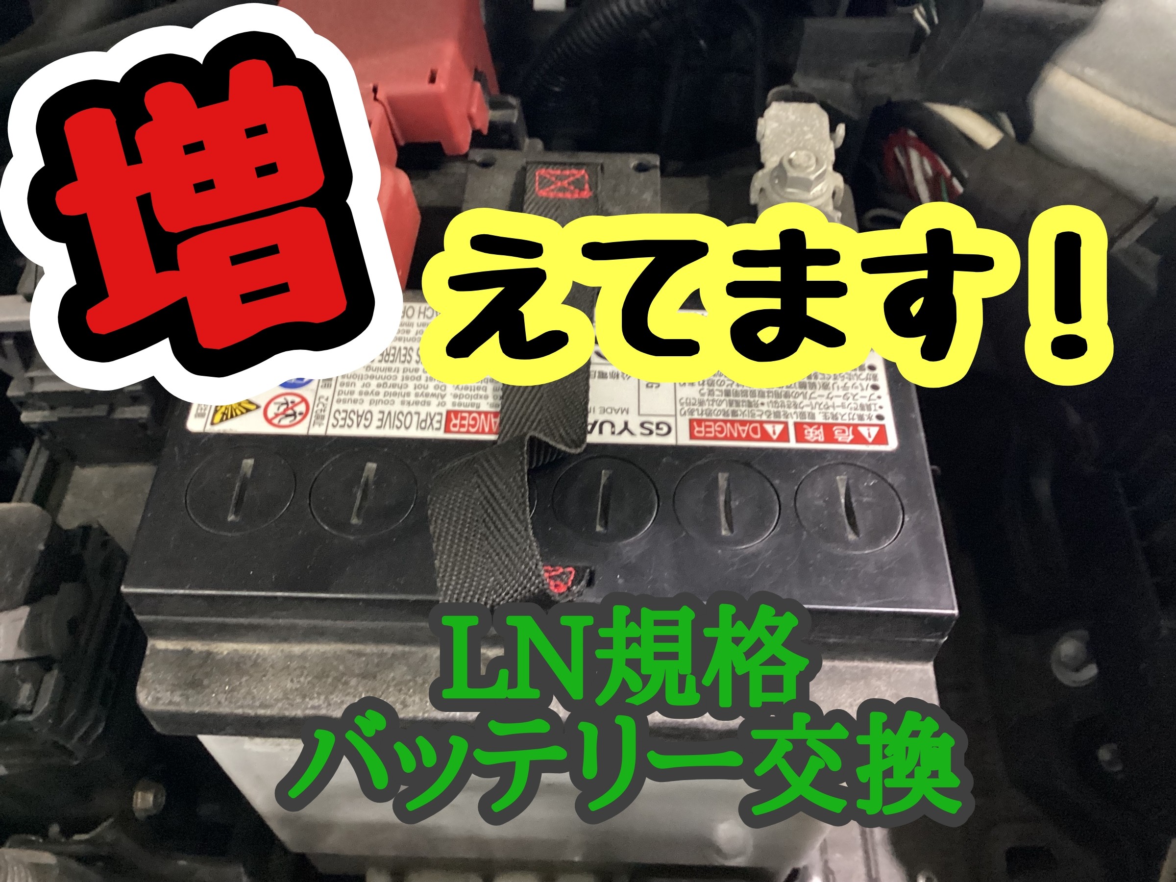 スタッフ撮影