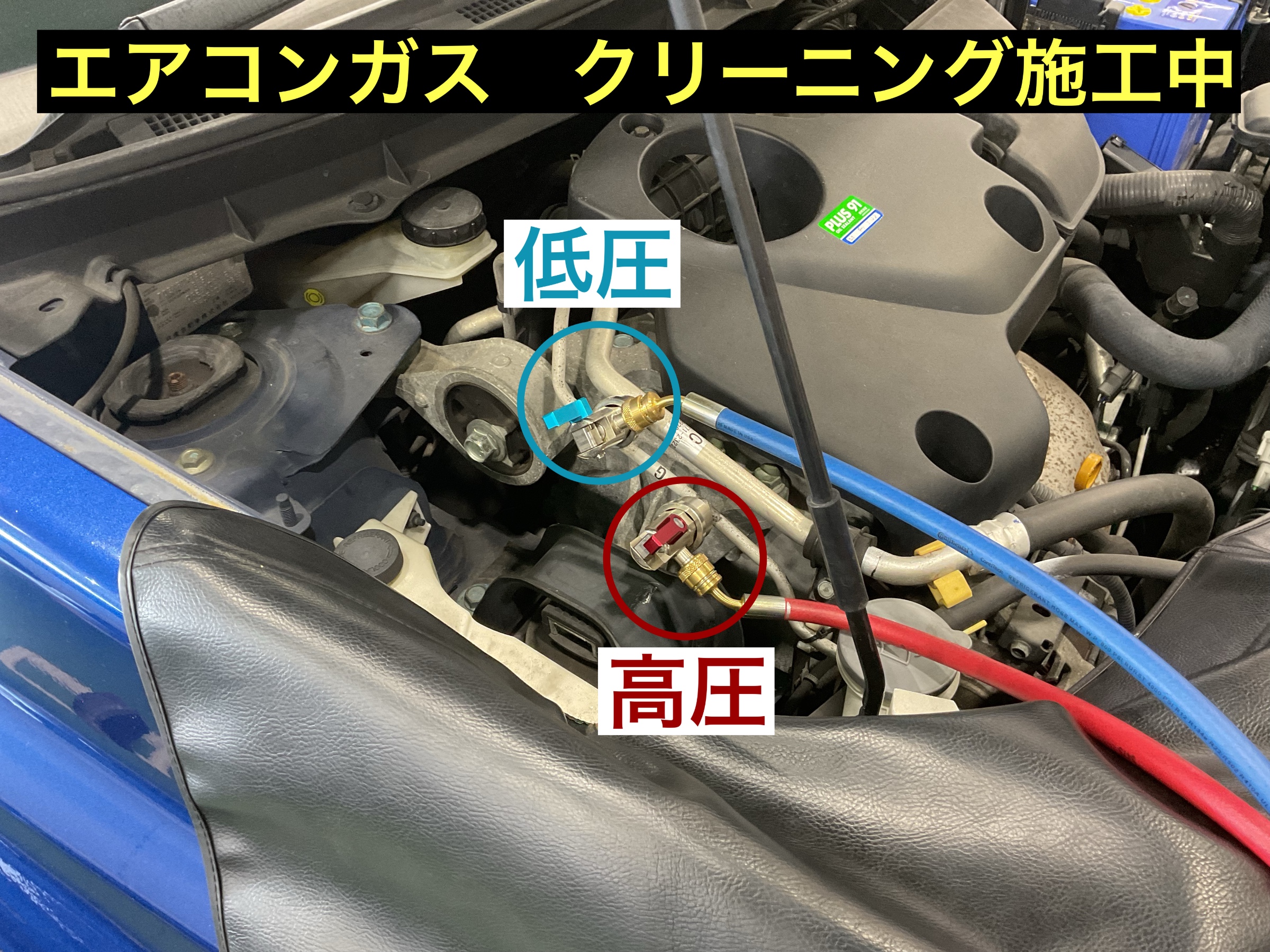 スタッフが撮影