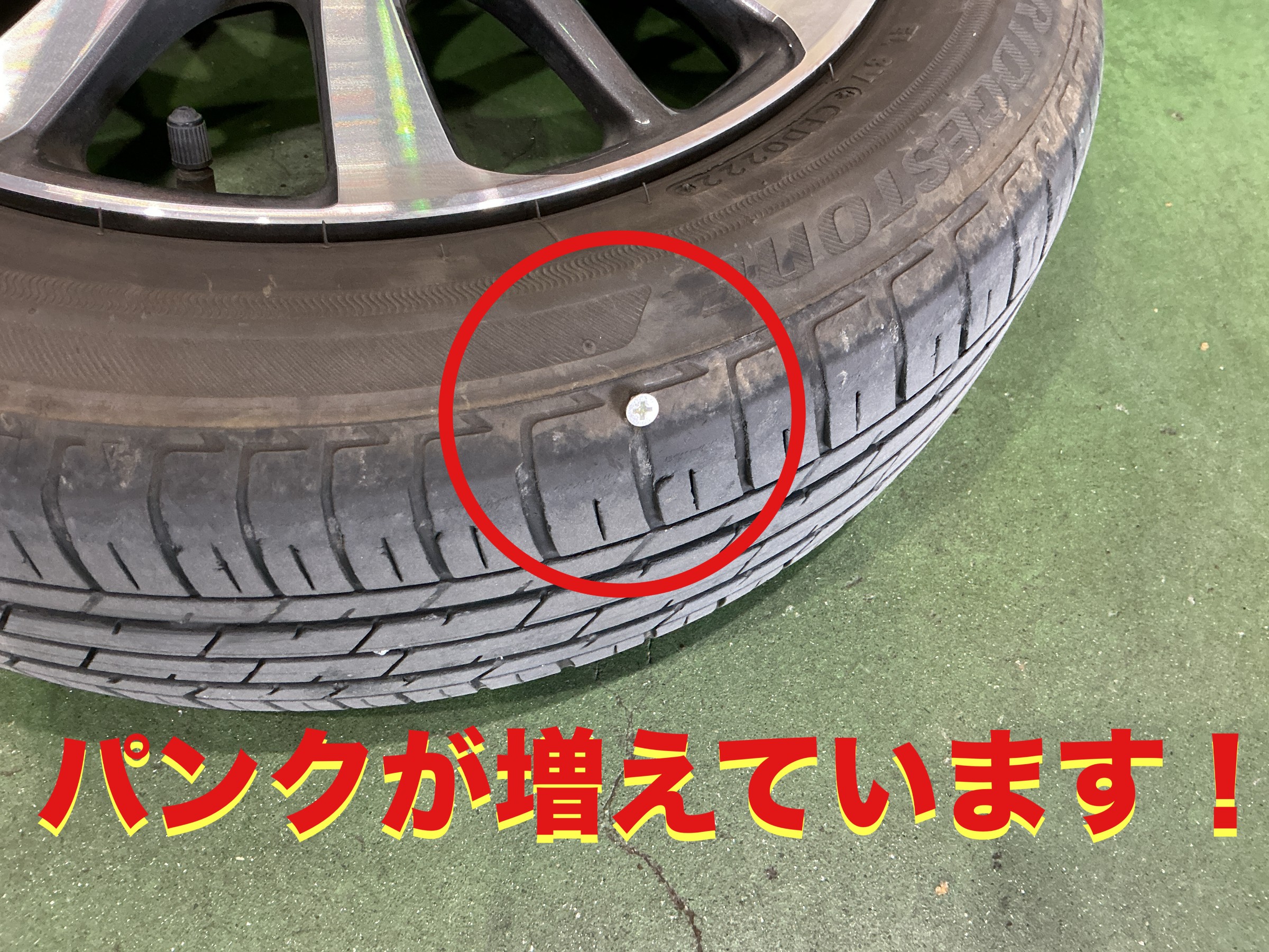 自店撮影です