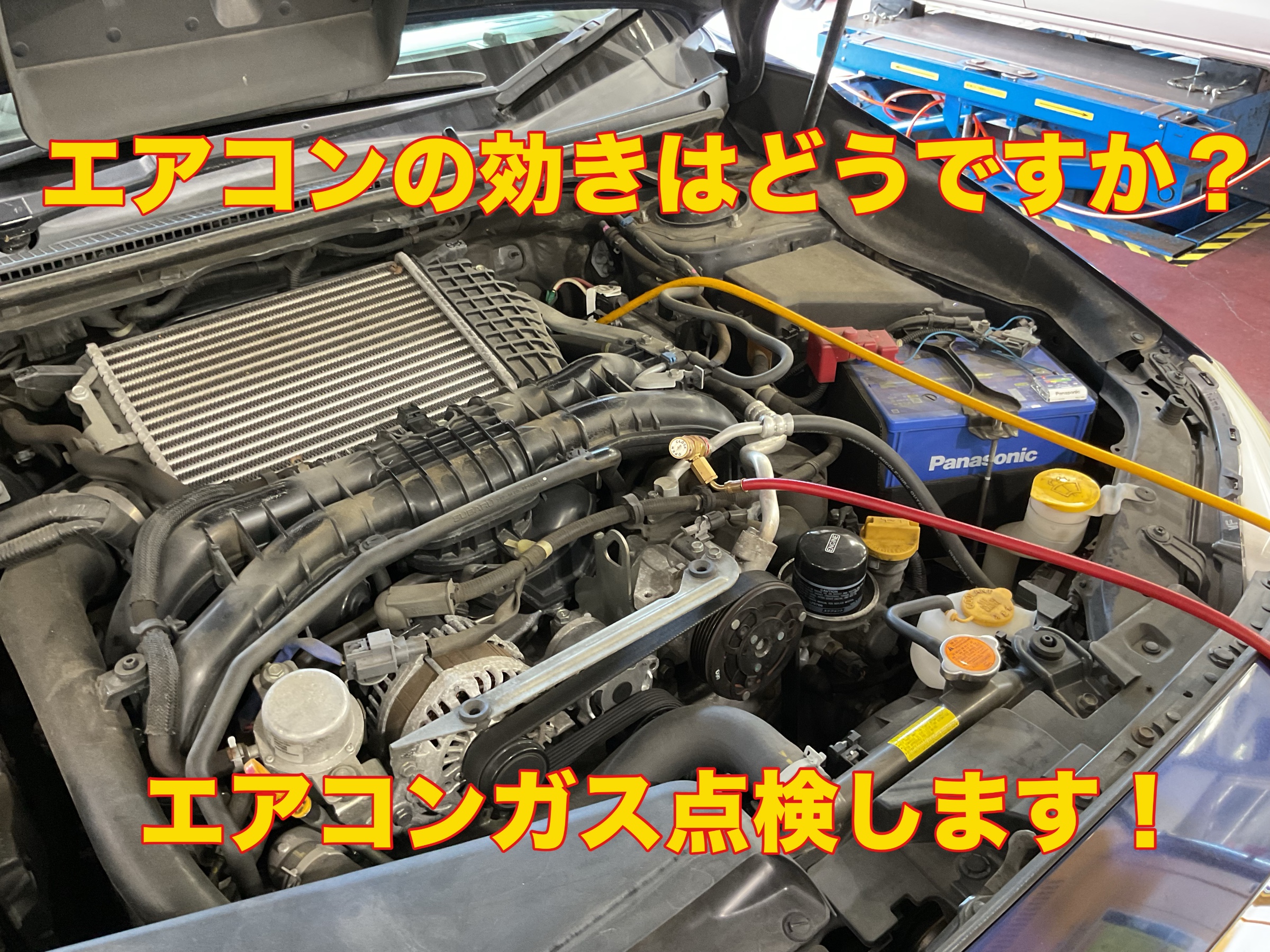 スタッフ撮影。無料画像編集アプリにて編集。