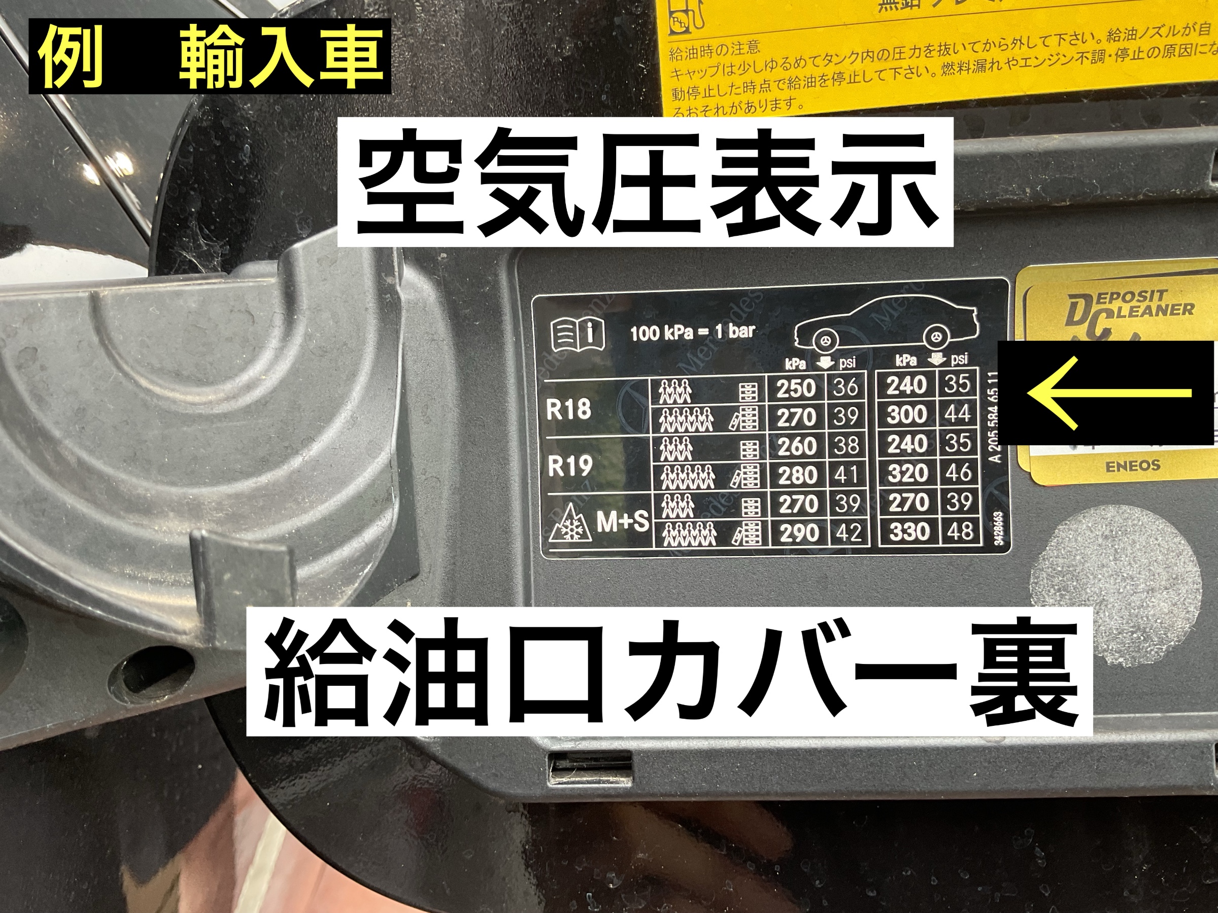 スタッフが撮影