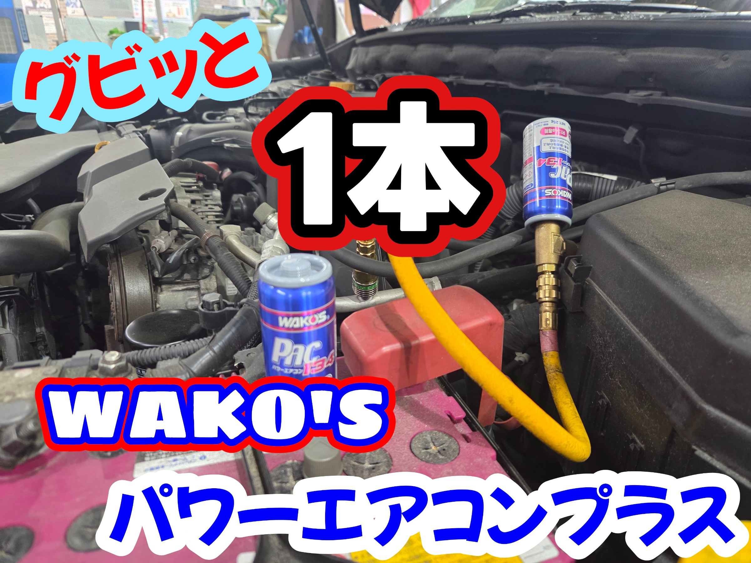 スタッフ撮影