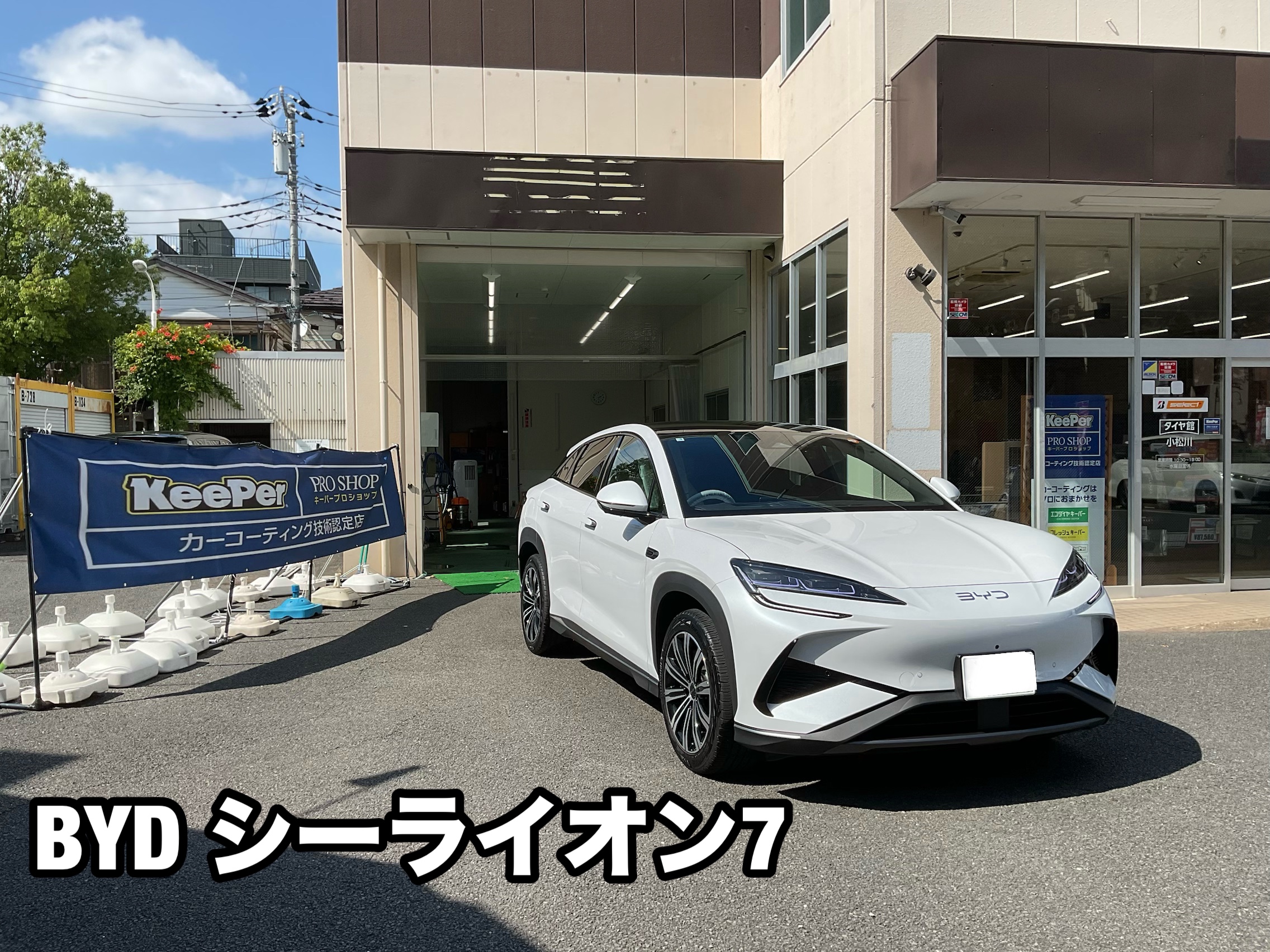 シーライオン7