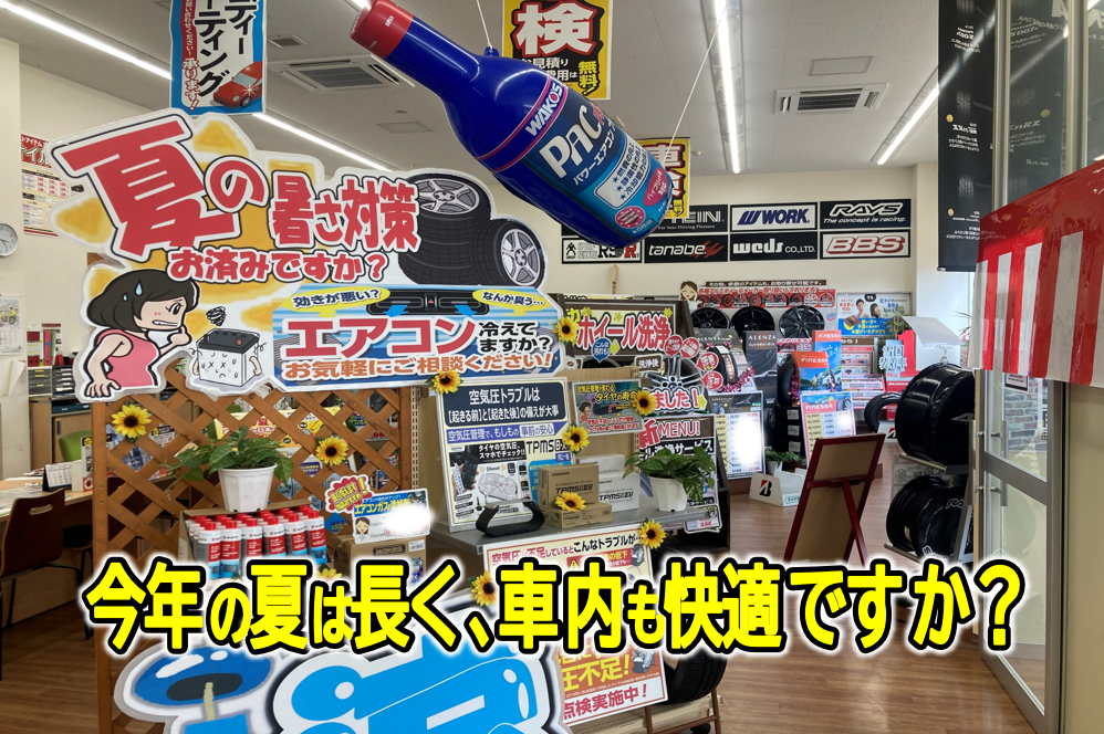 夏対策
