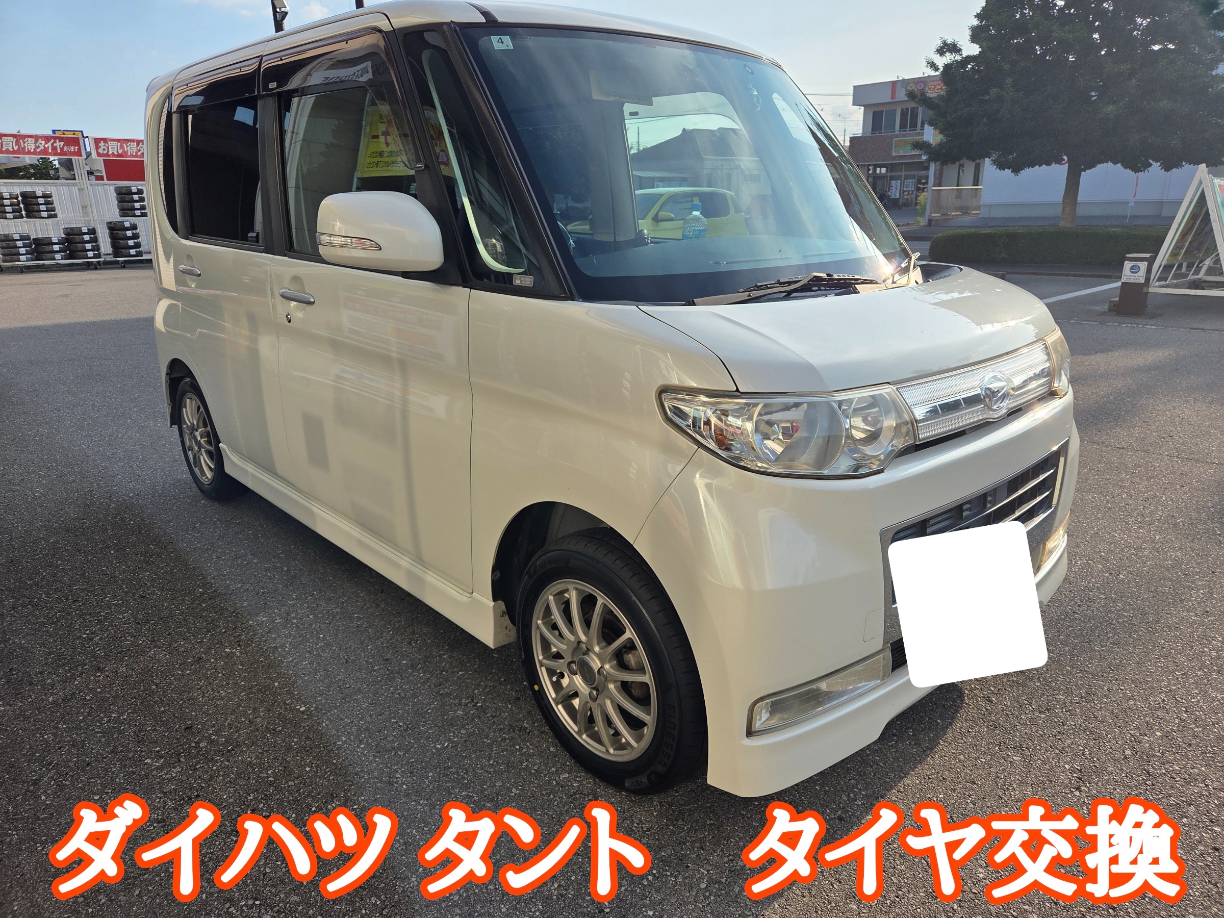 スタッフが撮影しました