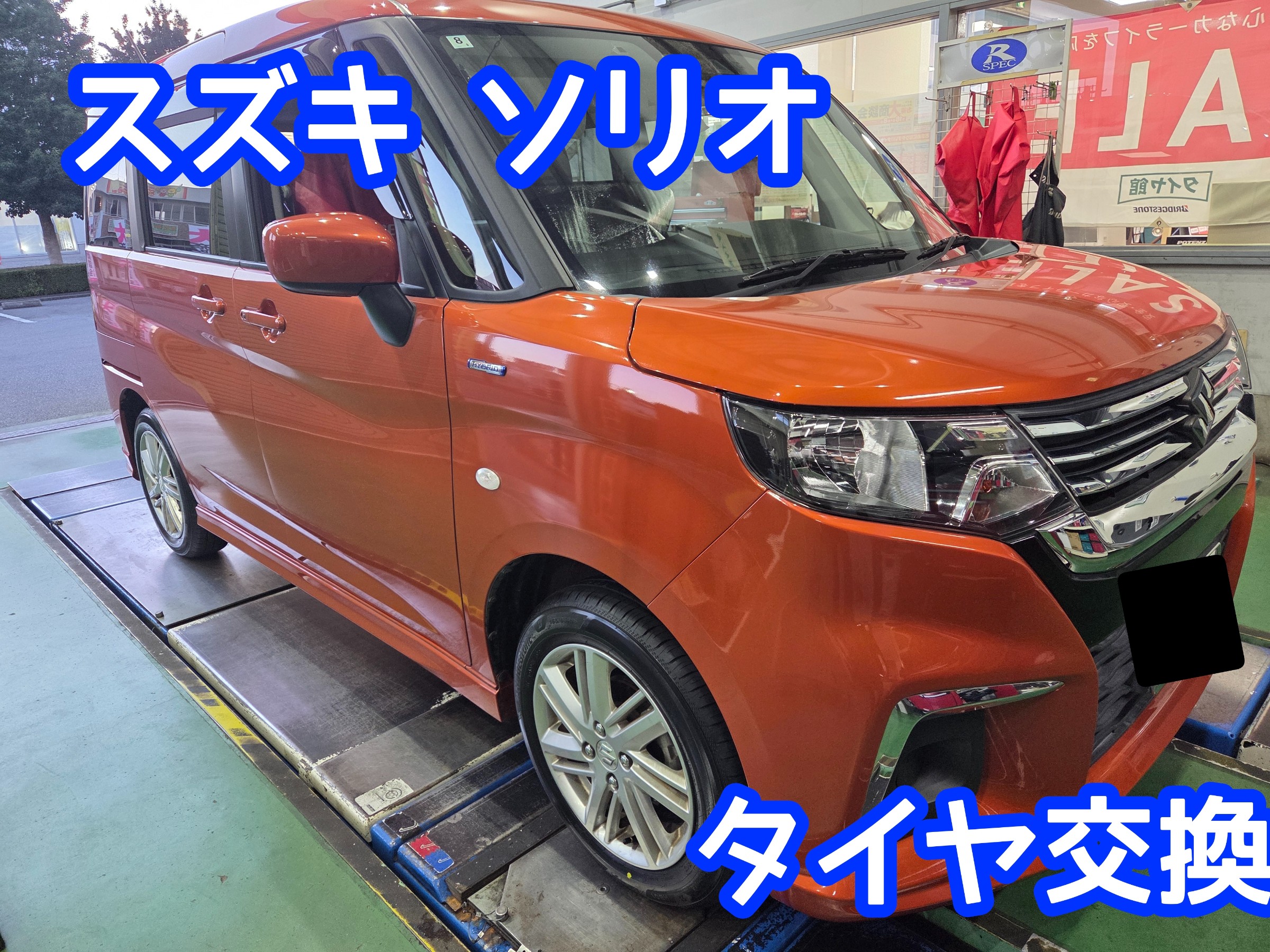 スタッフが撮影しました
