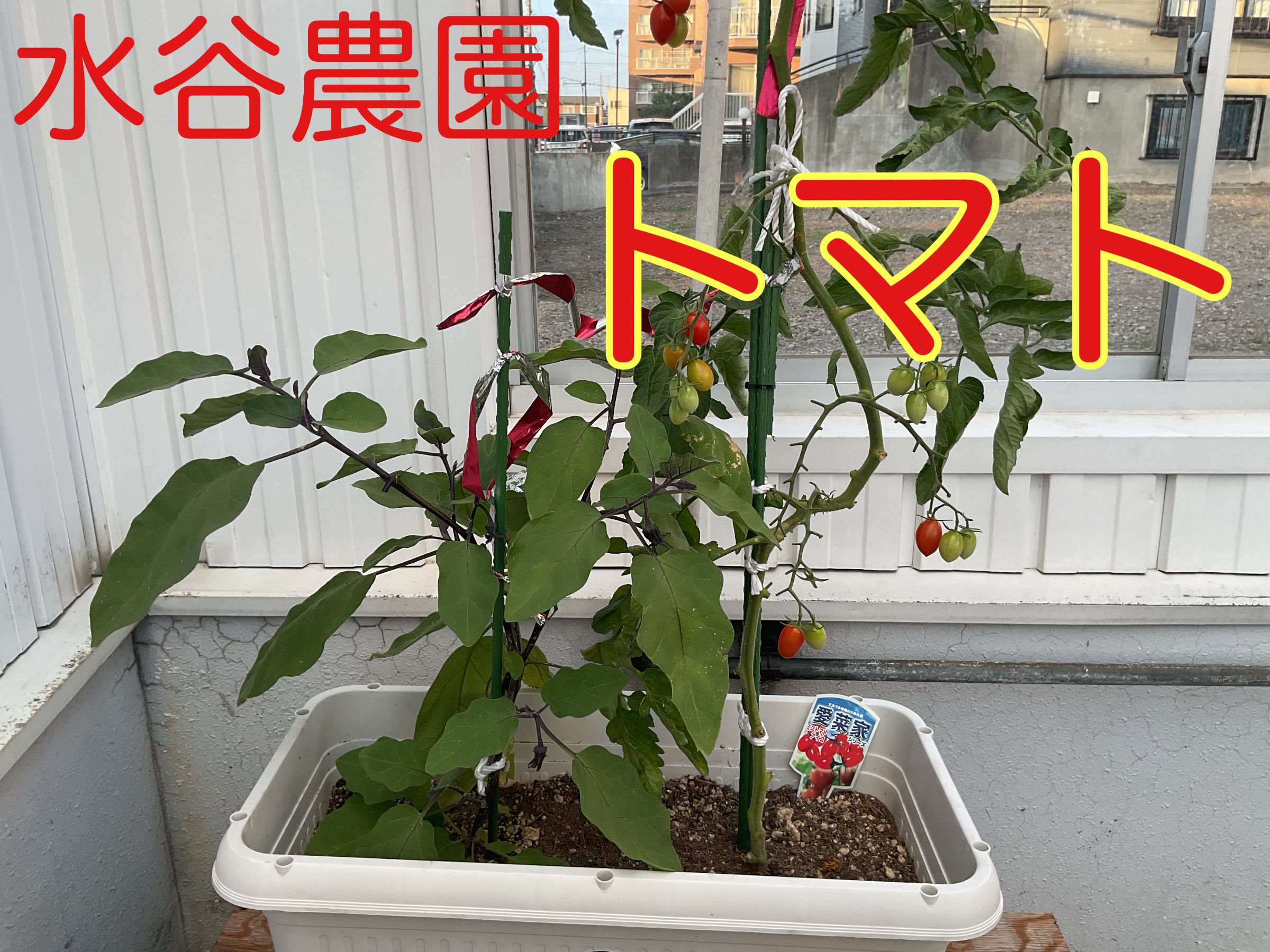 スタッフ撮影しました