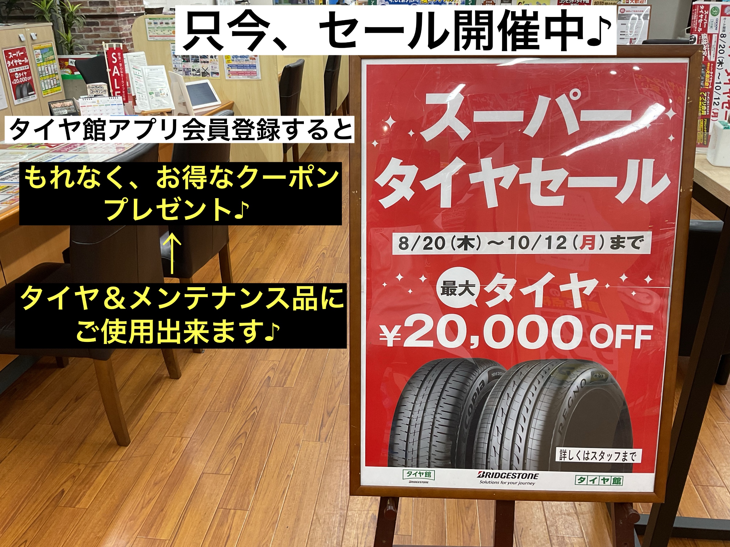 スタッフが撮影