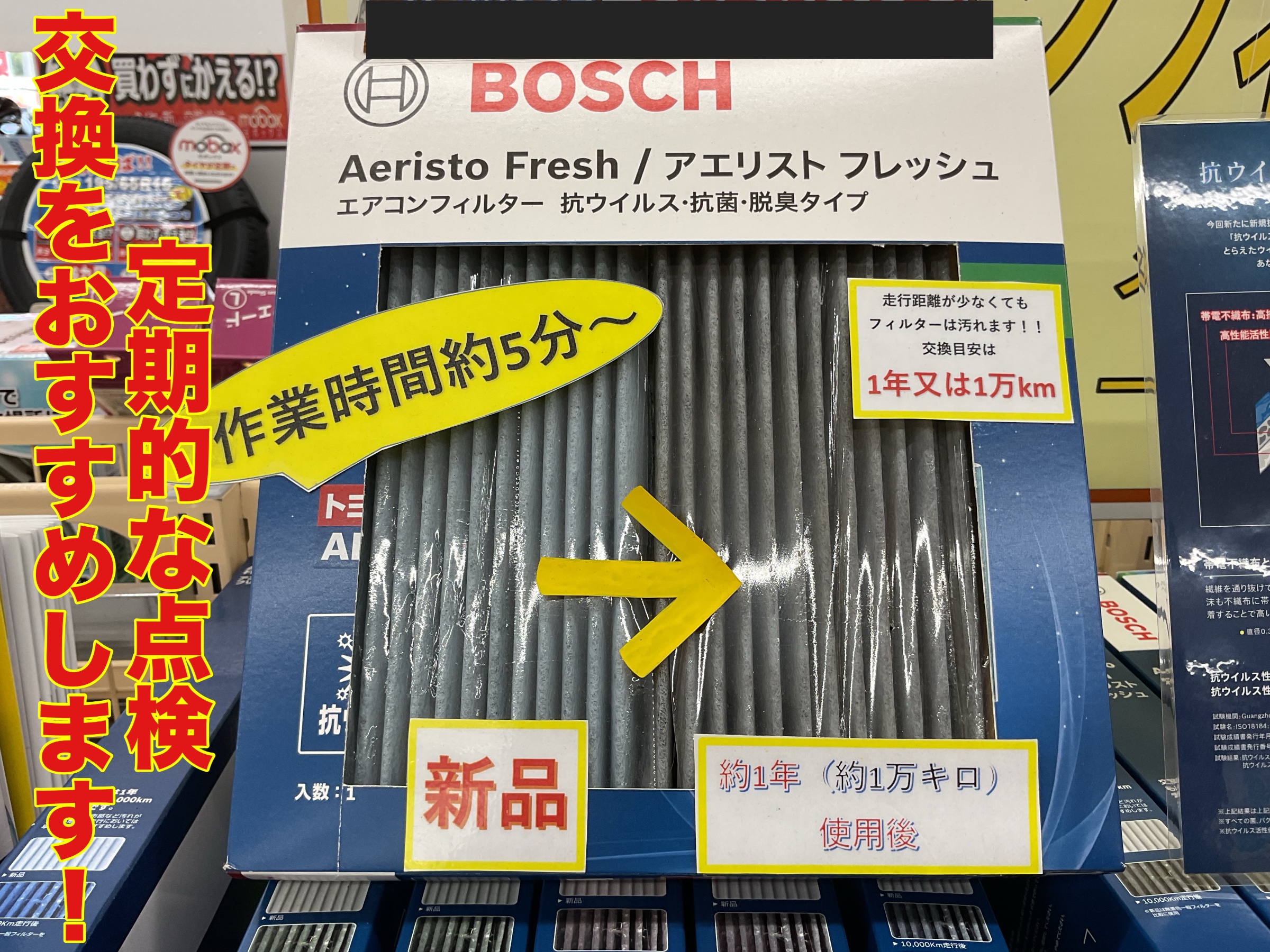 スタッフ撮影。無料画像編集アプリにて編集。