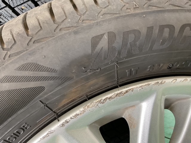 スタッフ撮影です。