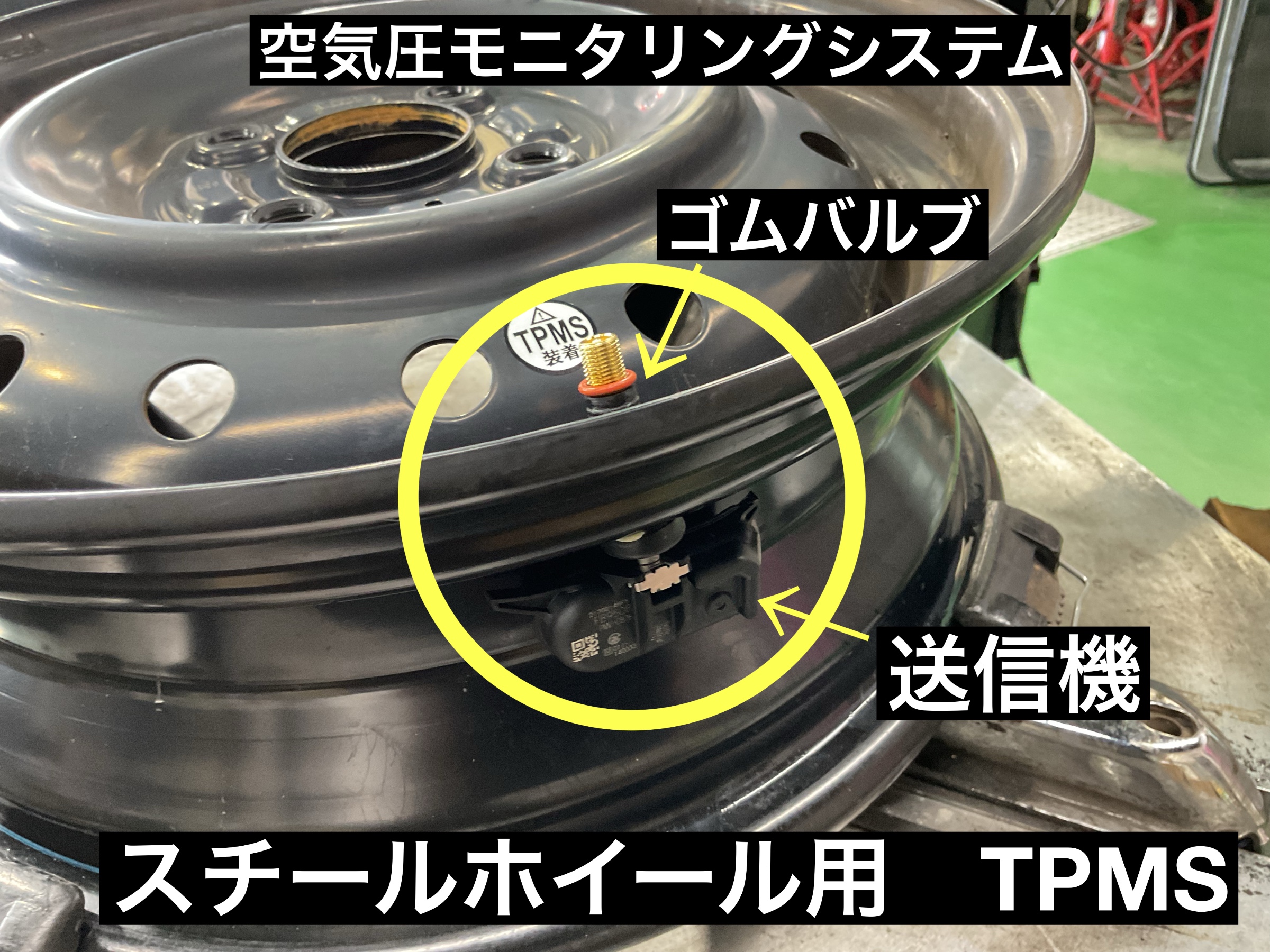 スタッフが撮影