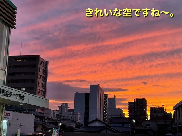 スタッフが撮影、加工した画像になります。