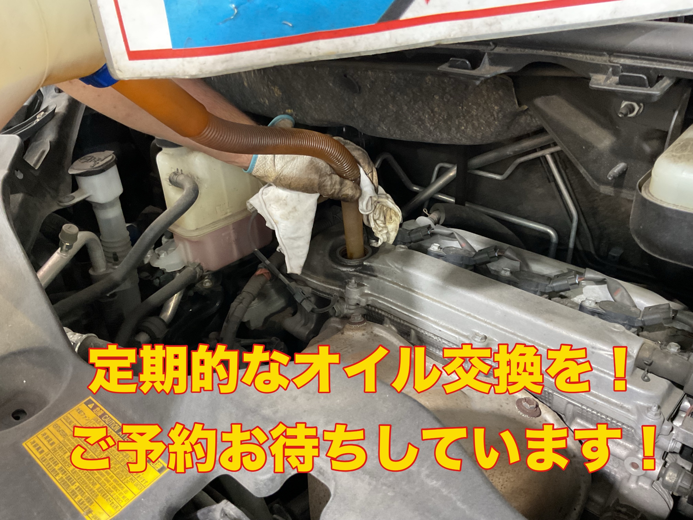 スタッフ撮影。無料画像編集アプリにて編集。