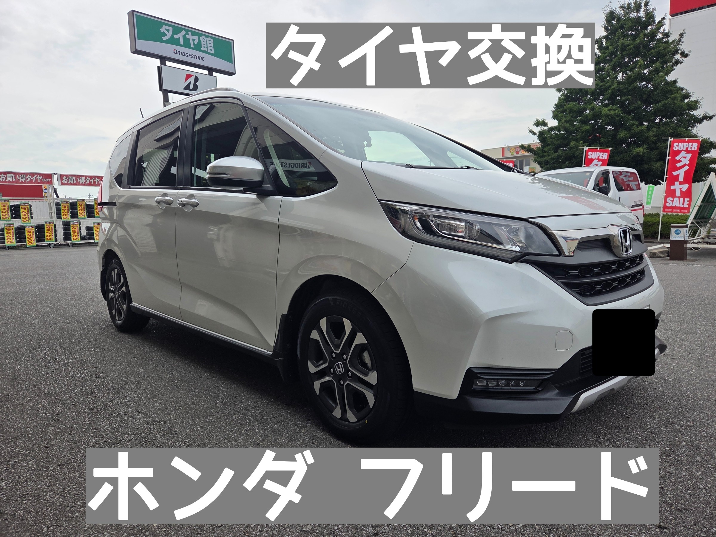 スタッフが撮影しました