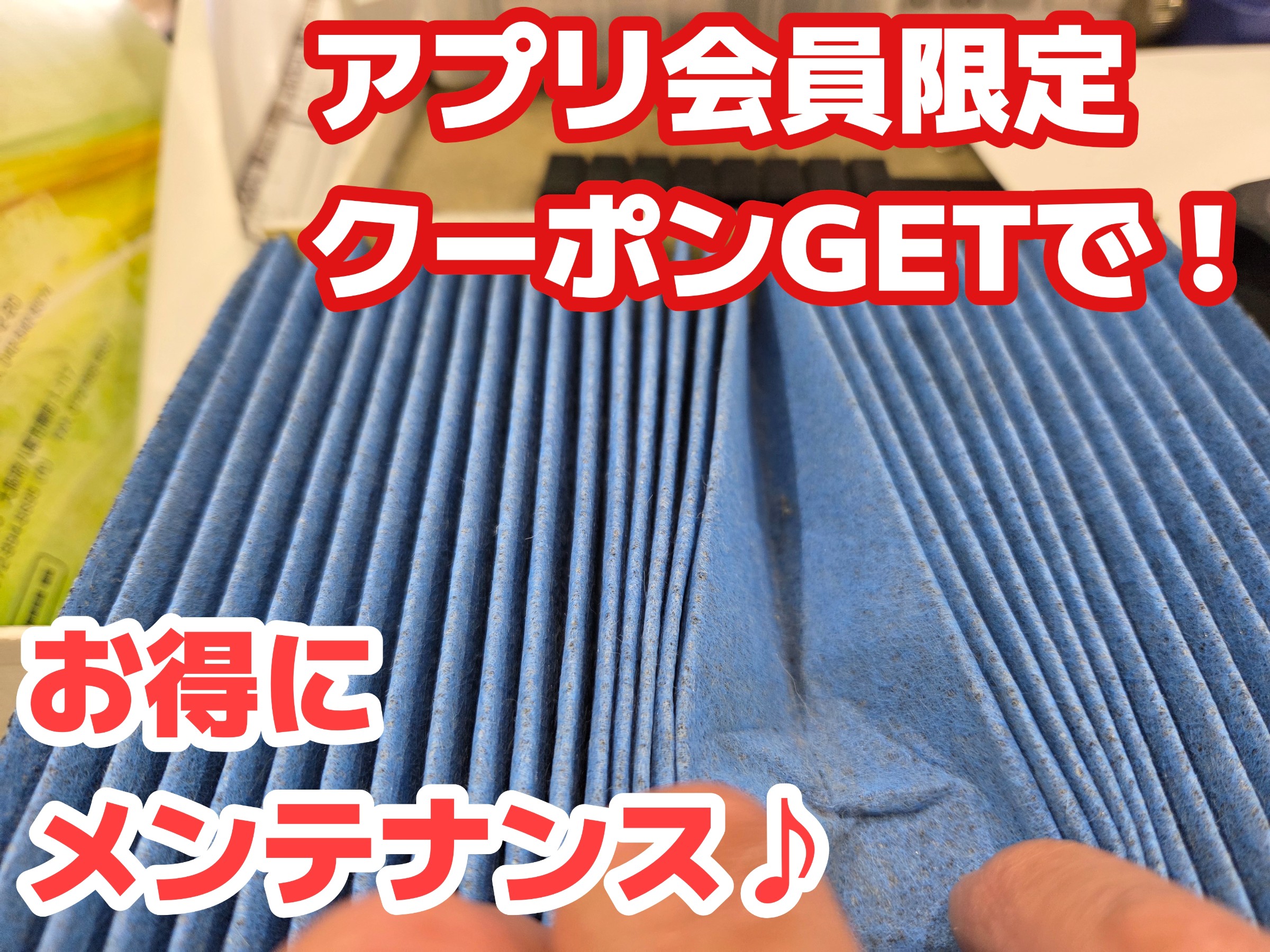 スタッフ撮影