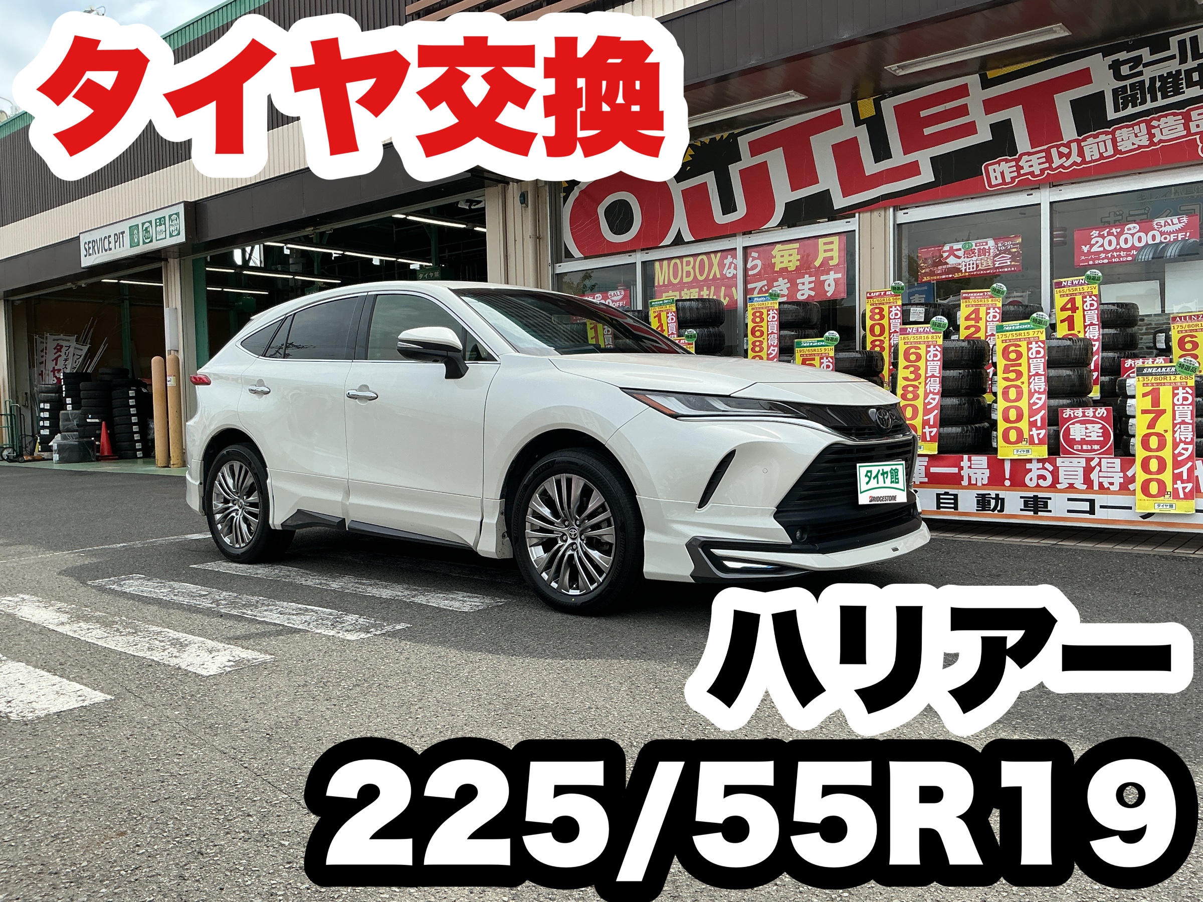 スタッフ撮影