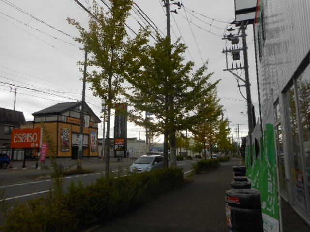 スタッフ撮影