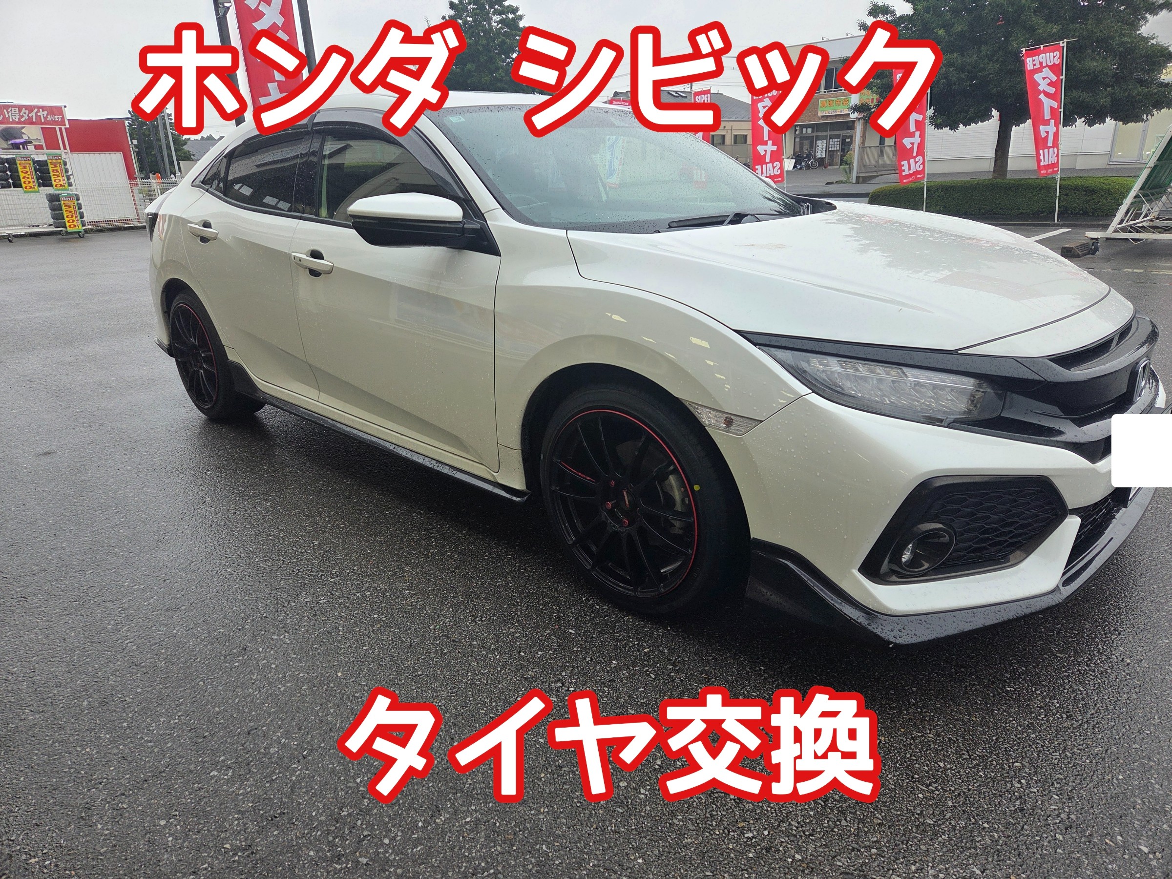スタッフが撮影しました