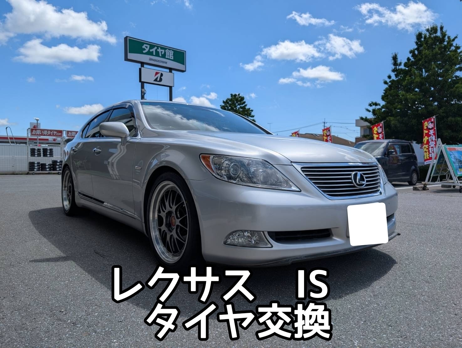 スタッフが撮影しました