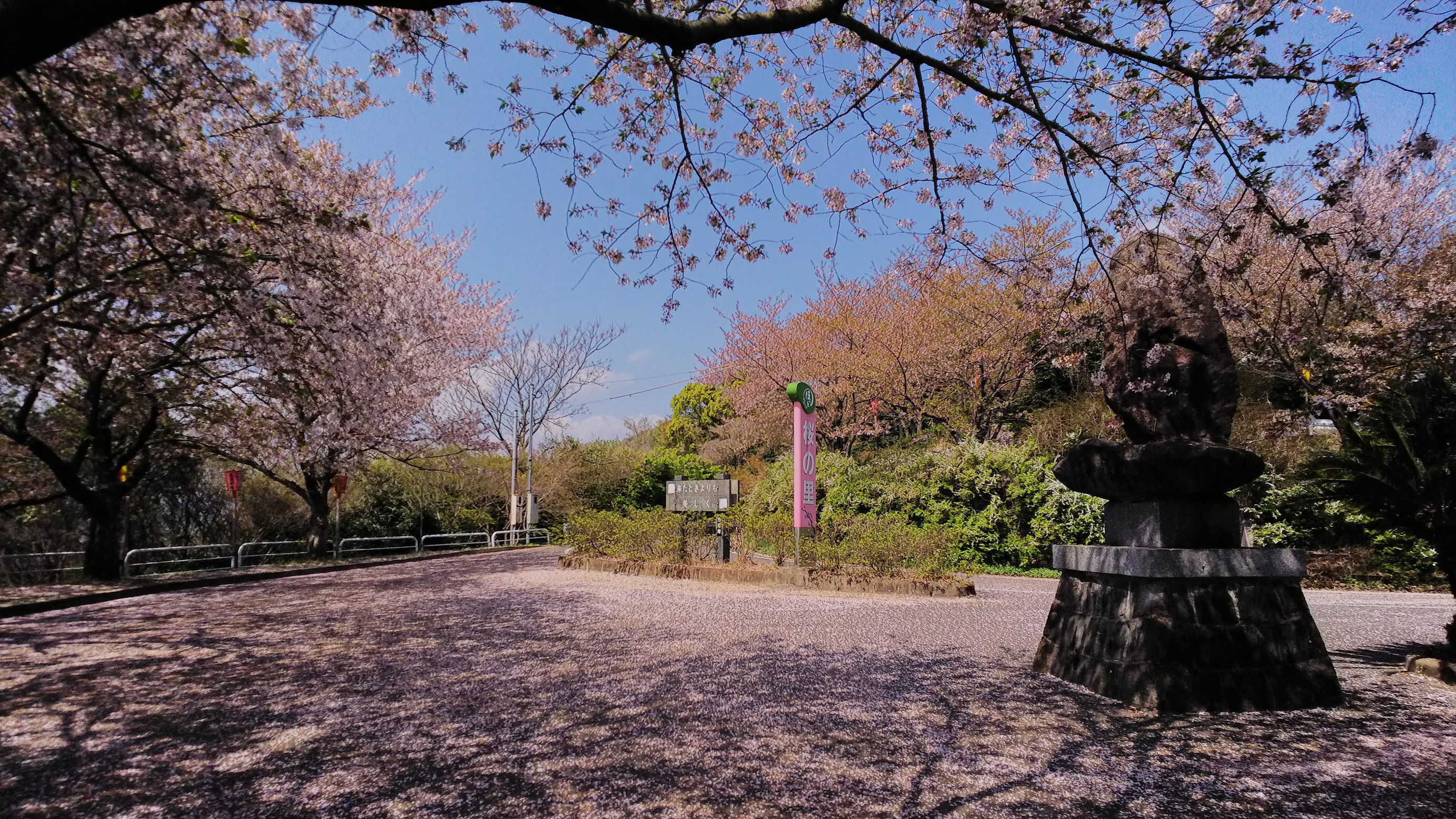 スタッフ撮影です。