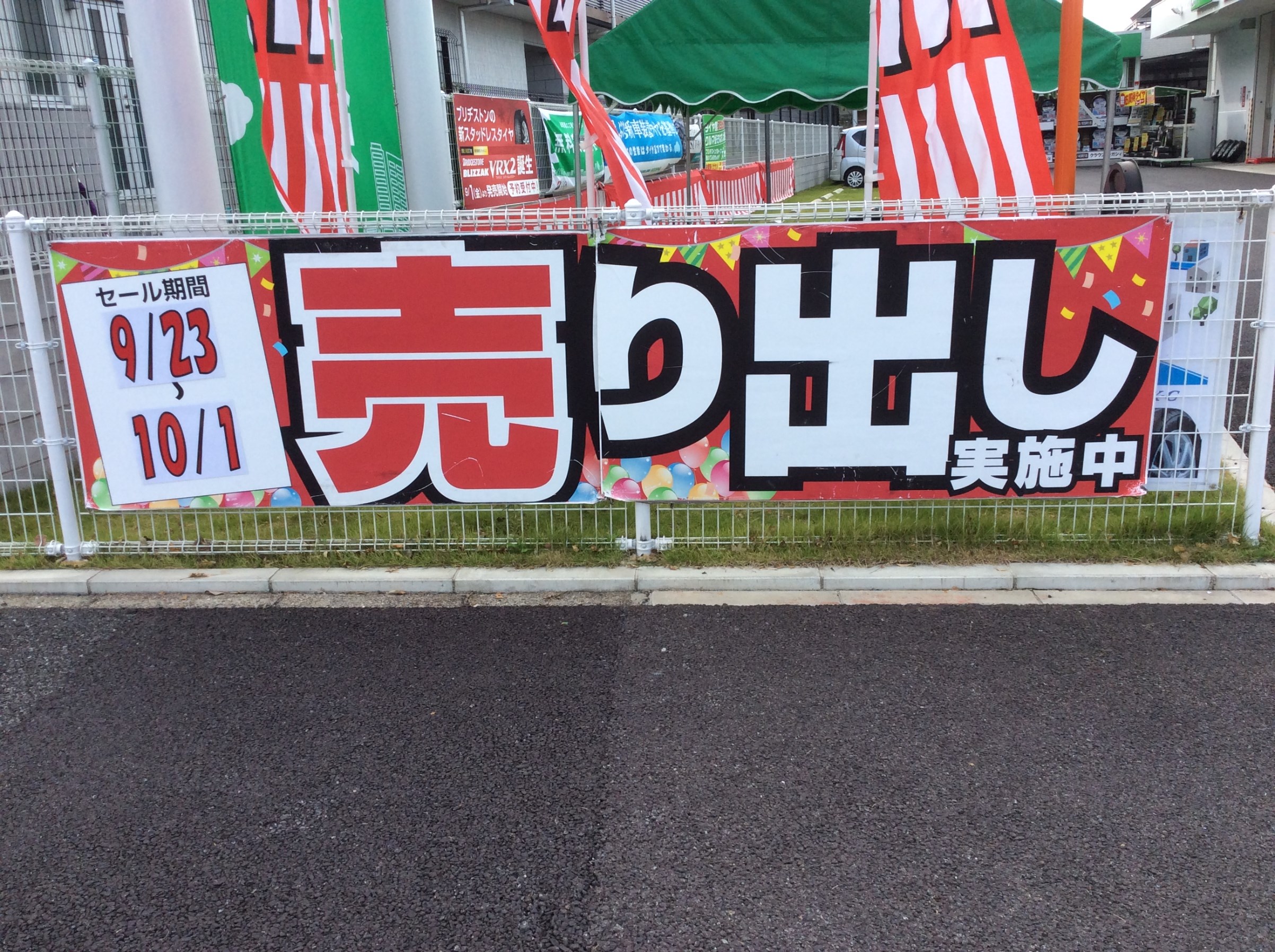 スタッフが撮影した画像です。