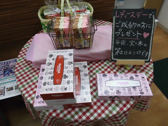 スタッフ撮影です