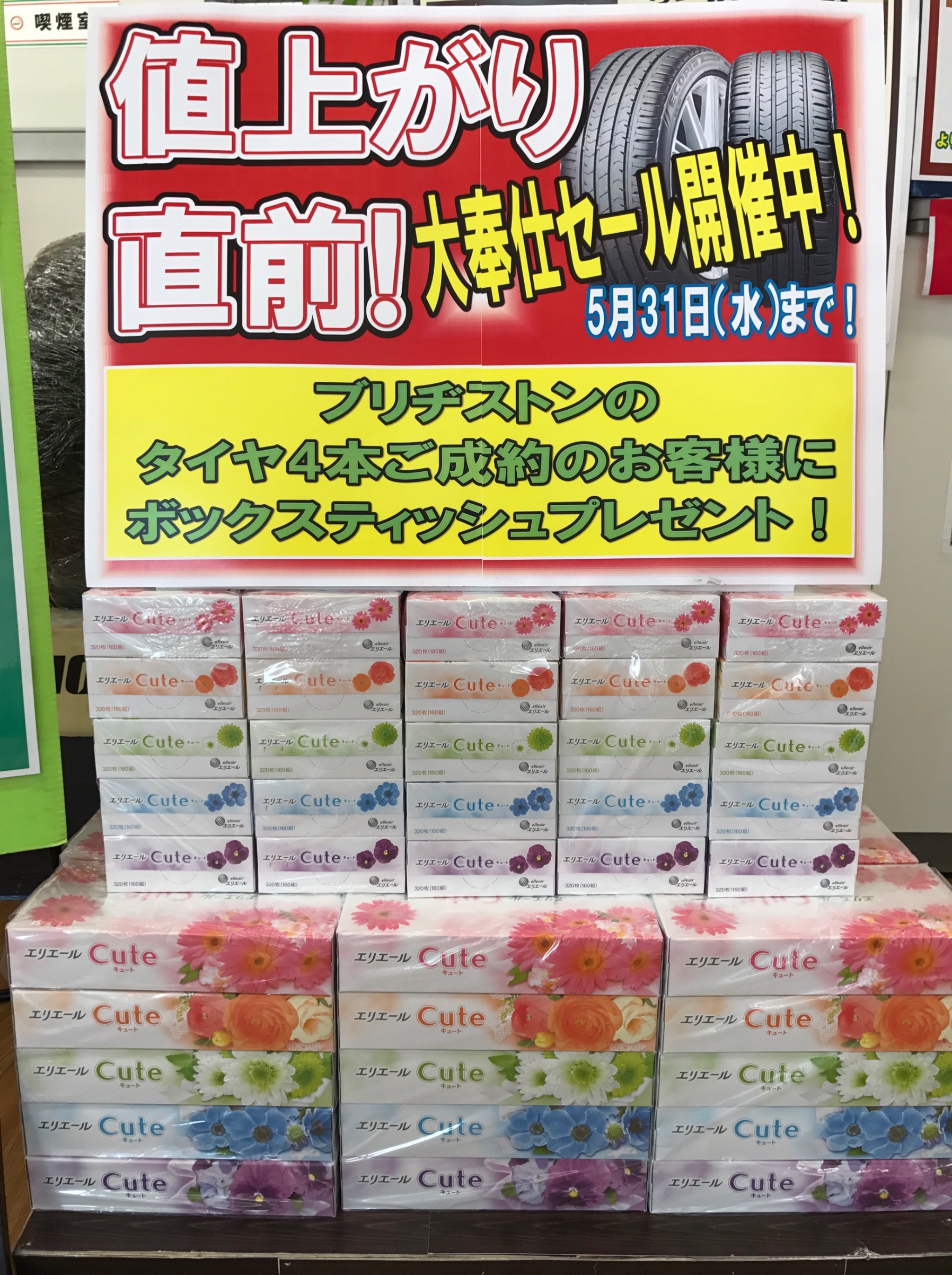 スタッフが撮影した画像です。